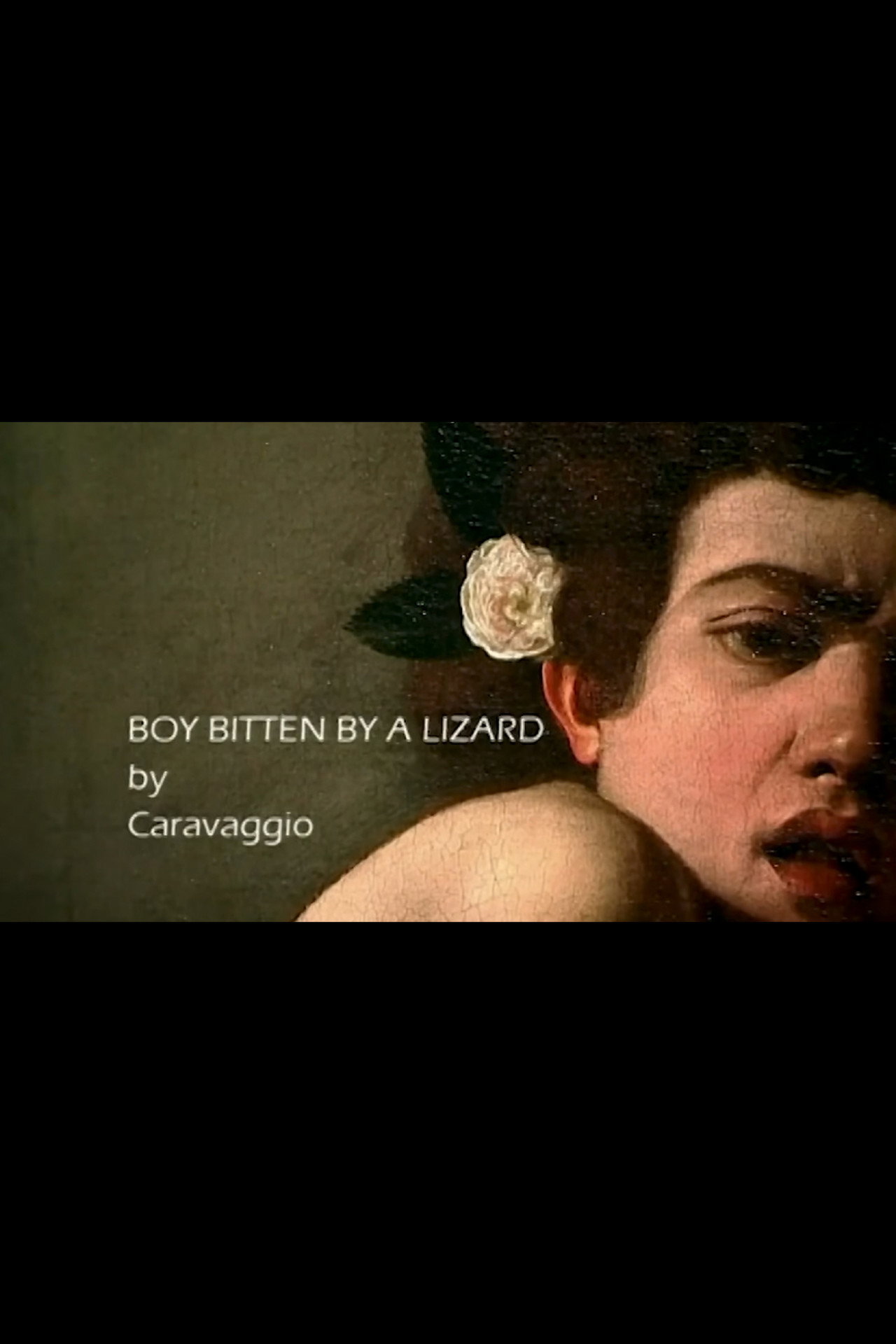 Boy Bitten by a Lizard by Caravaggio Backdrop