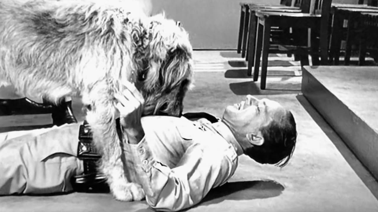 The Andy Griffith Show - Season 5 Episode 6 : Barney's Bloodhound