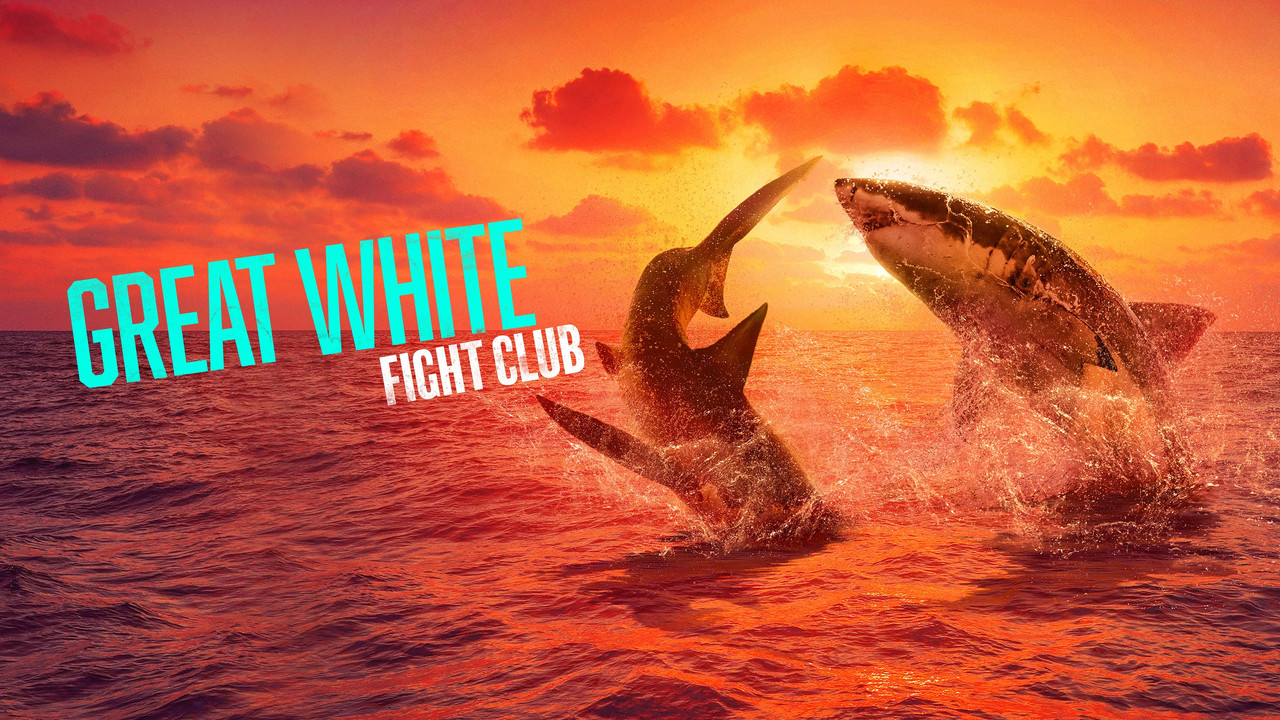 Great White Fight Club - 剧照