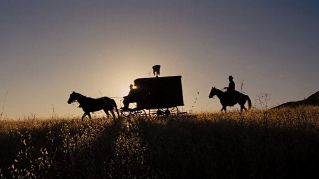 Django Unchained (2012)