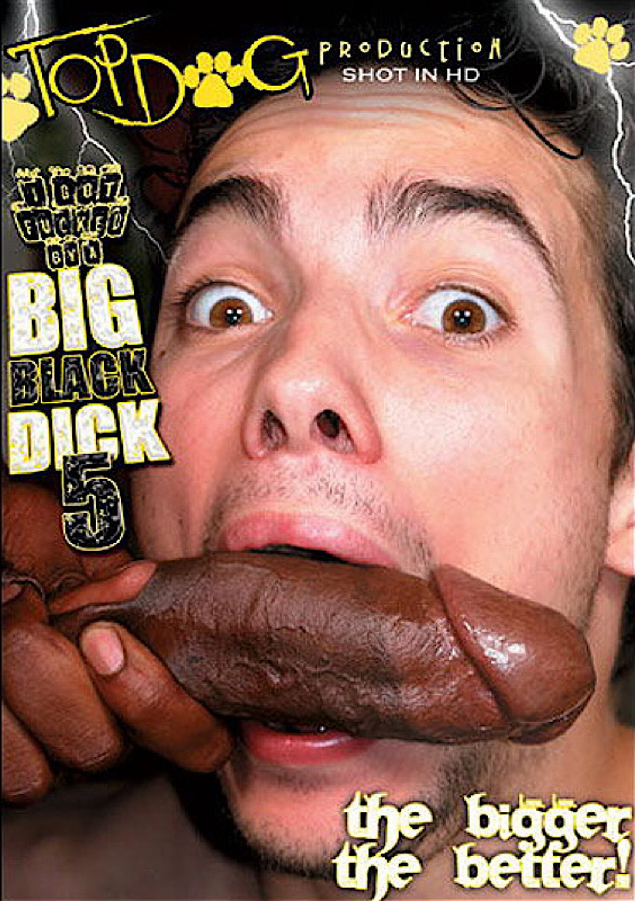 I Got Fucked by a Big Black Dick 5 filmaffisch