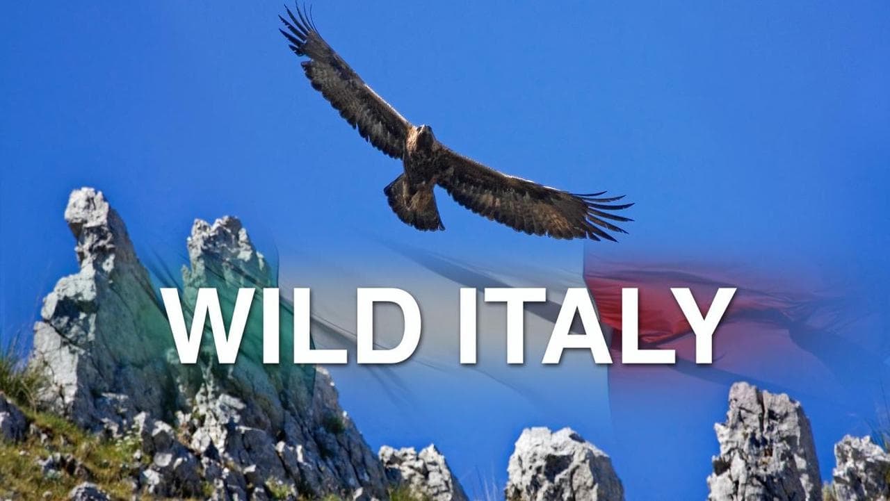 Wild Italy background