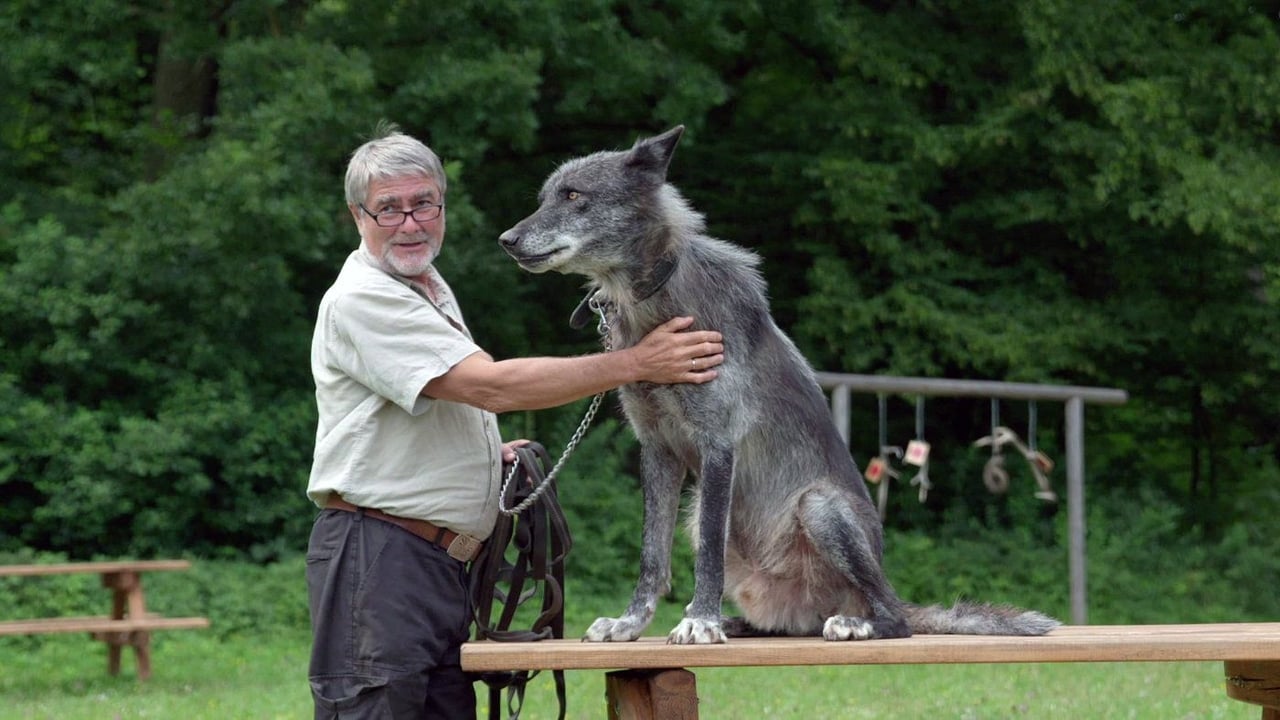 Scen från Wolves Return