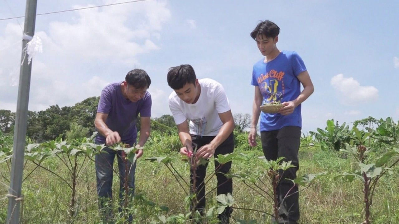 香港原味道 — Épisode 26