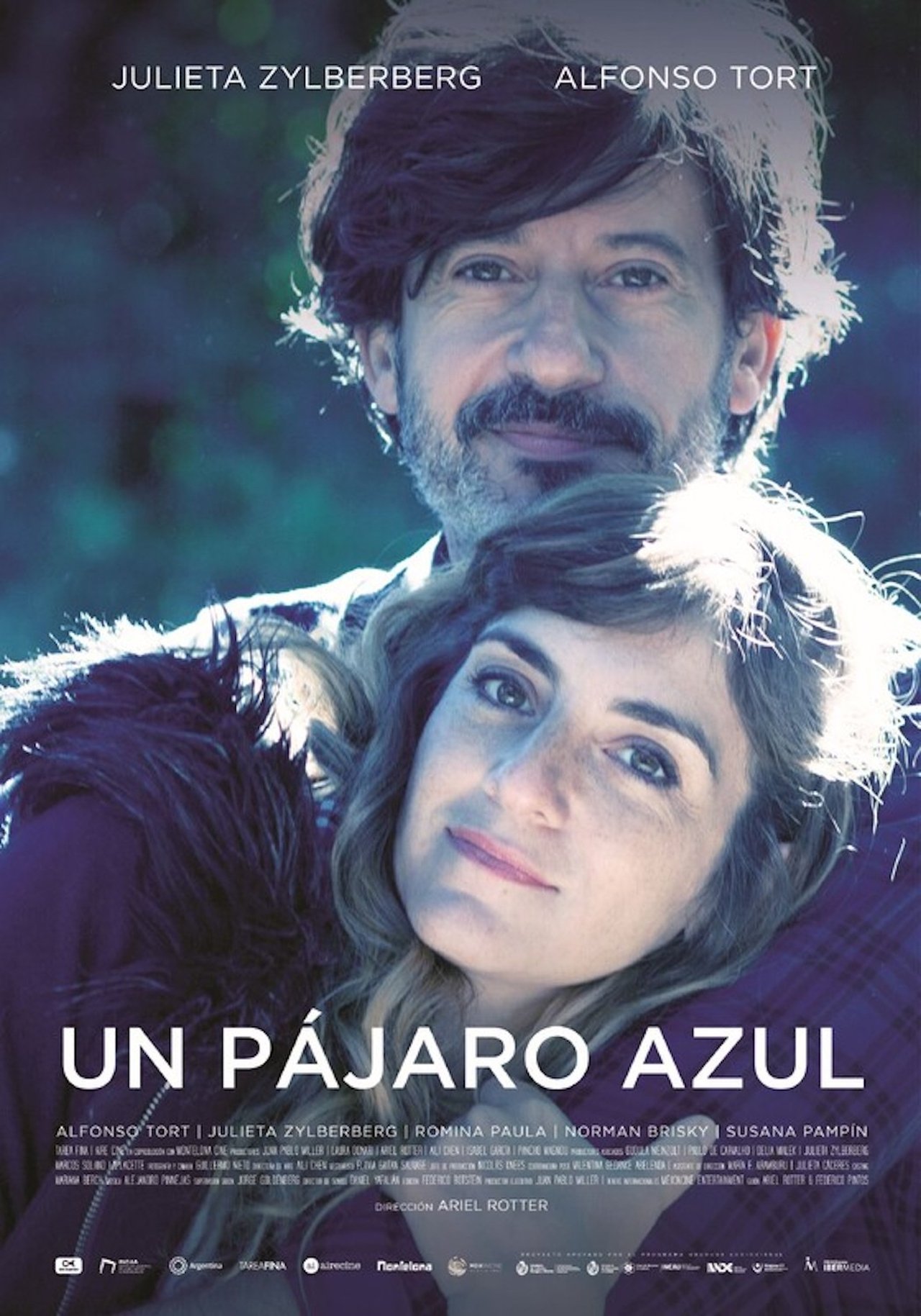 Un pájaro azul poster