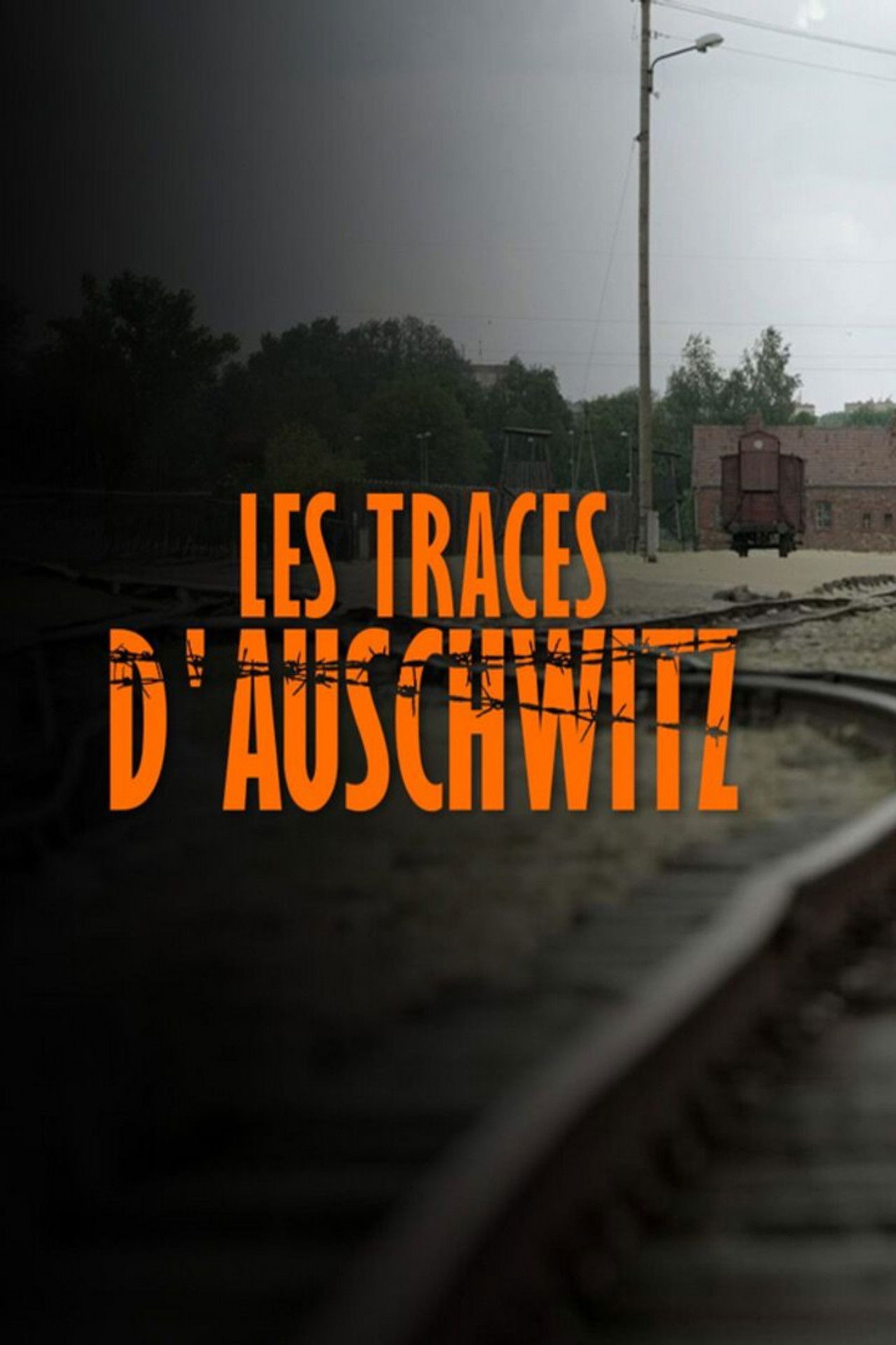 Les Traces D'Auschwitz (2021) poster