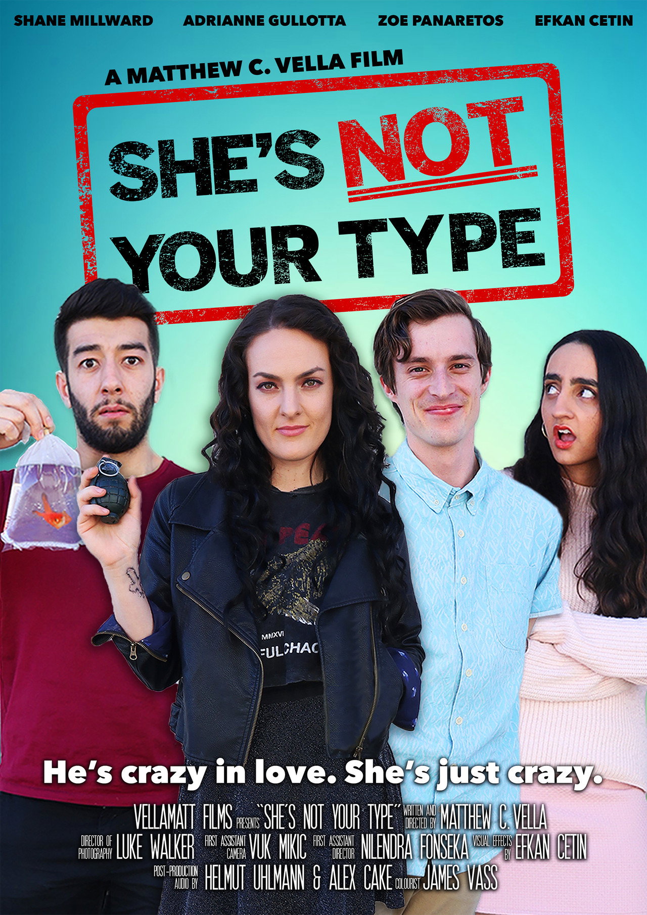 She's Not Your Type filmaffisch