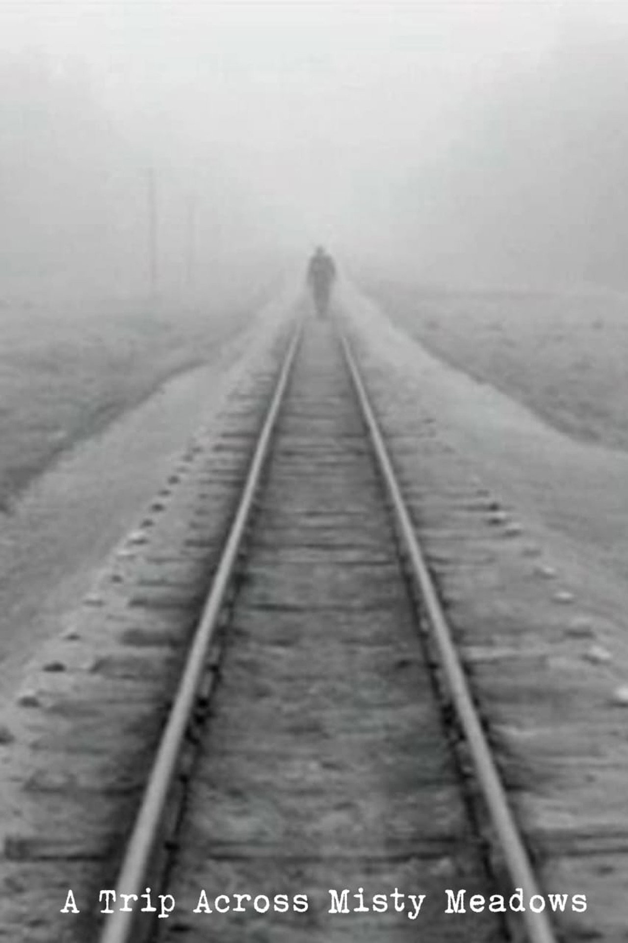 A Trip Across Misty Meadows