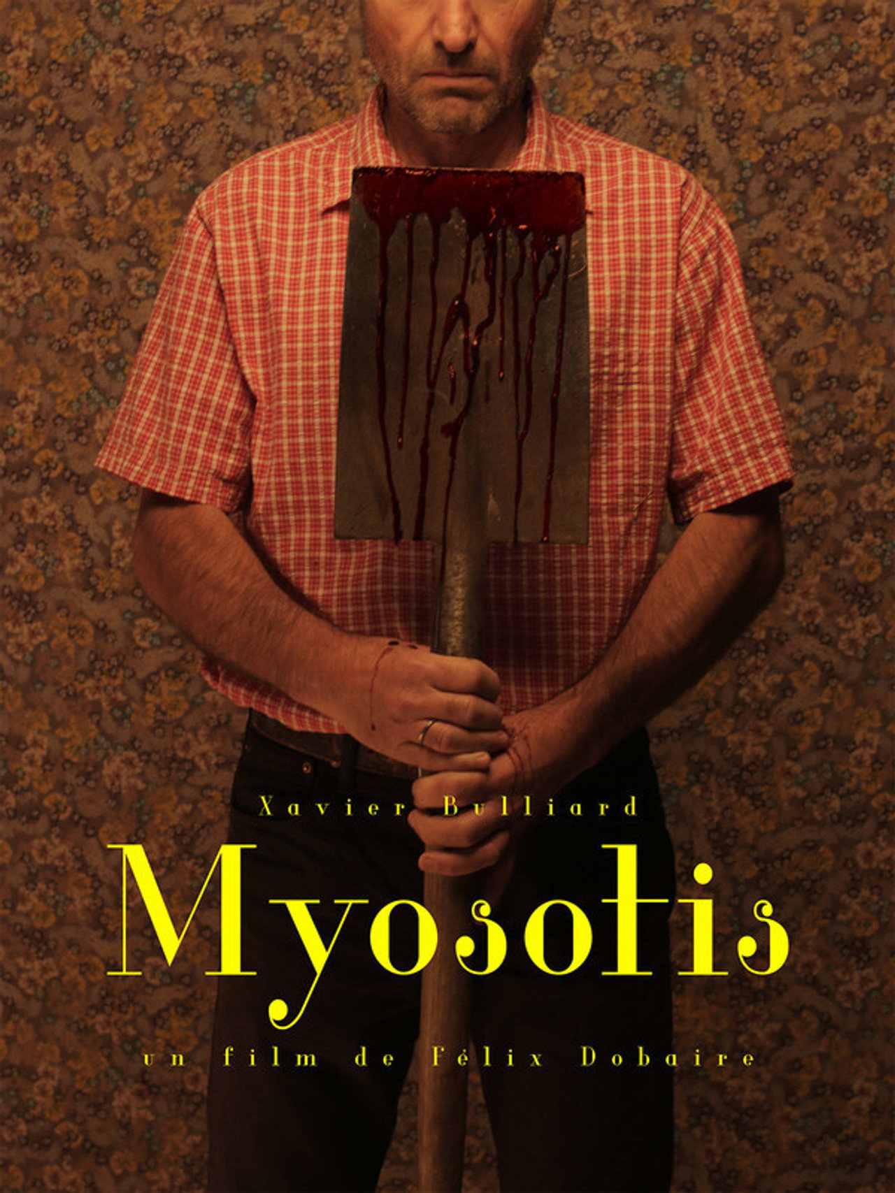 Myosotis filmaffisch