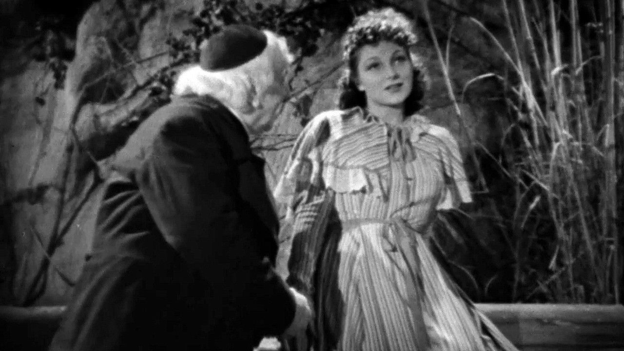 Don Buonaparte backdrop