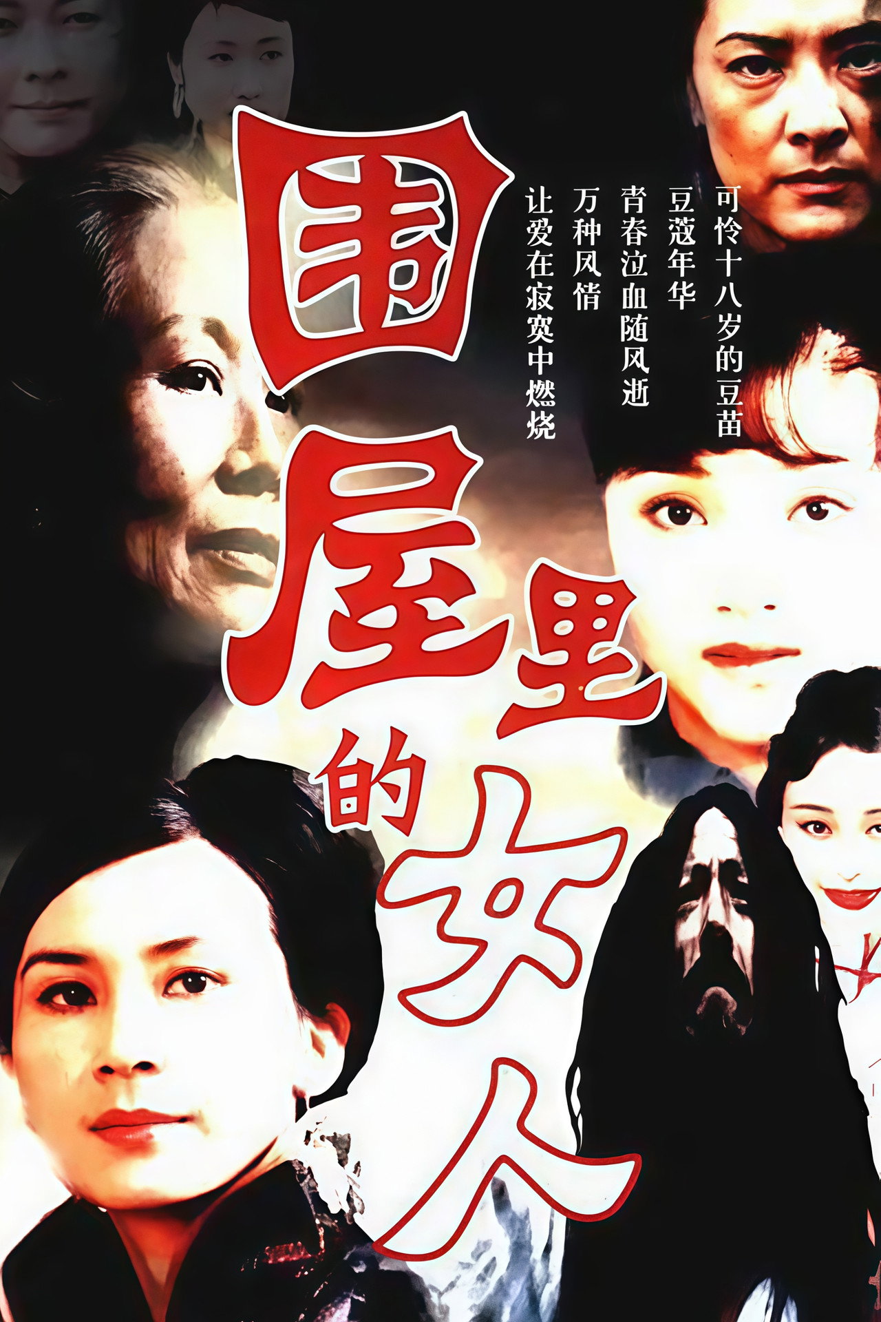 围屋里的女人 affisch