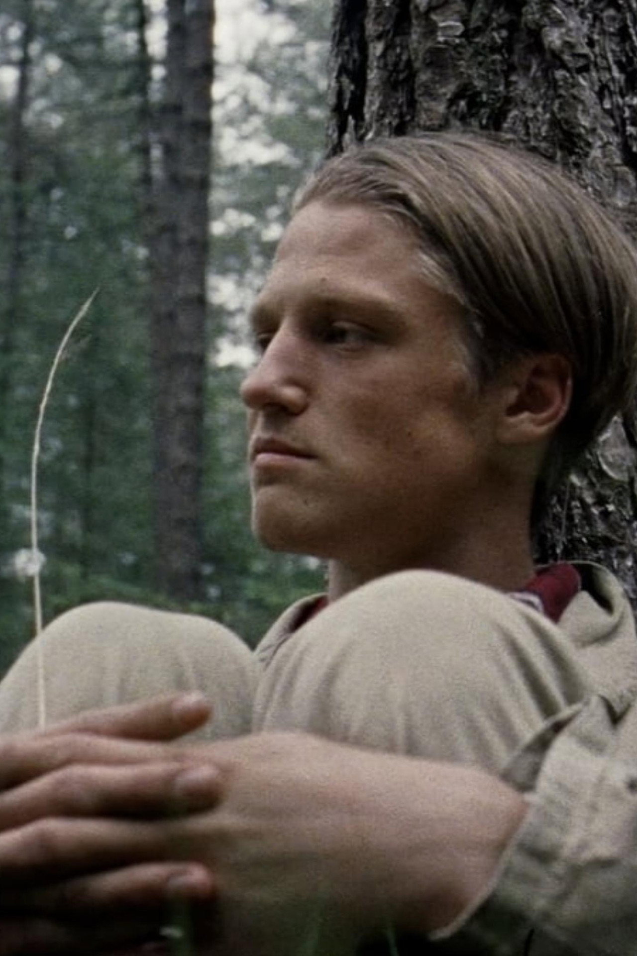 Kreupelhout Backdrop