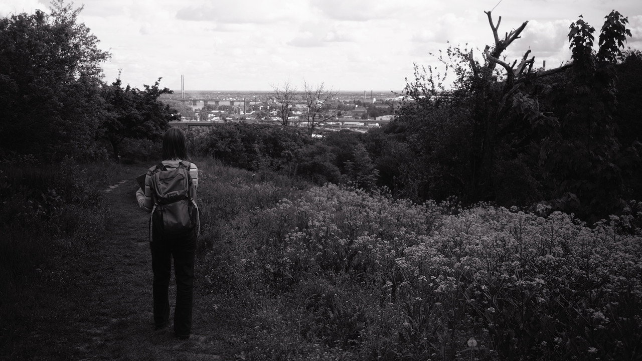 And Then the Silence Faded