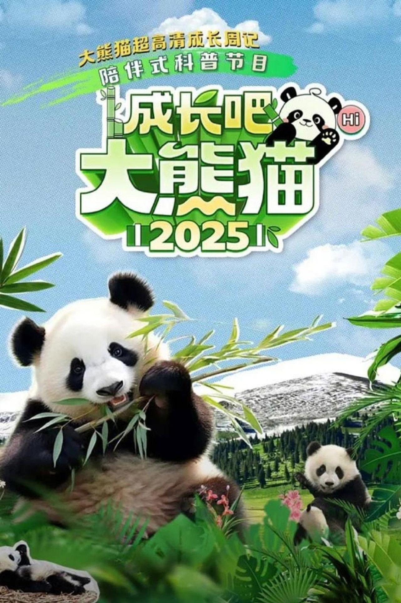 成长吧！大熊猫2025