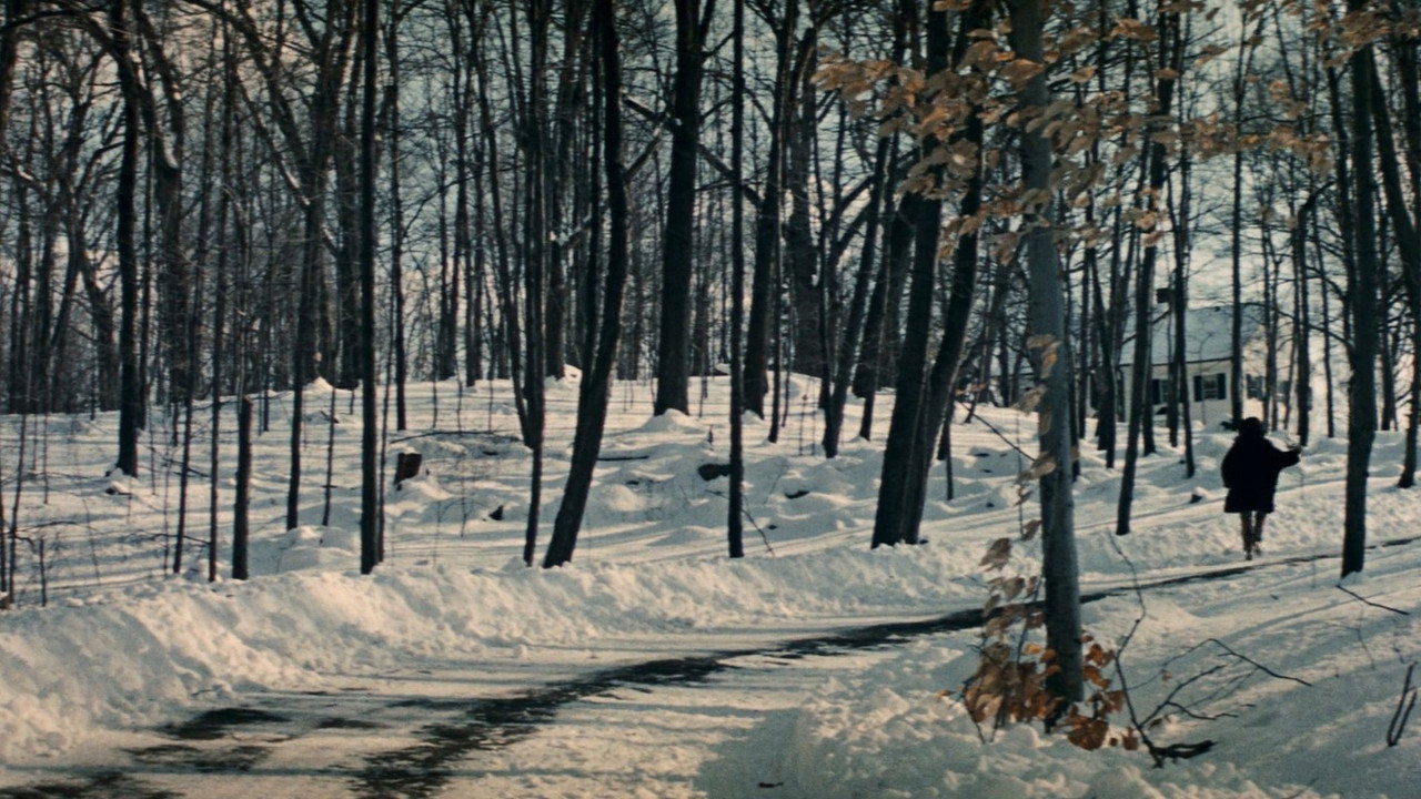 Valley of the Dolls background 43