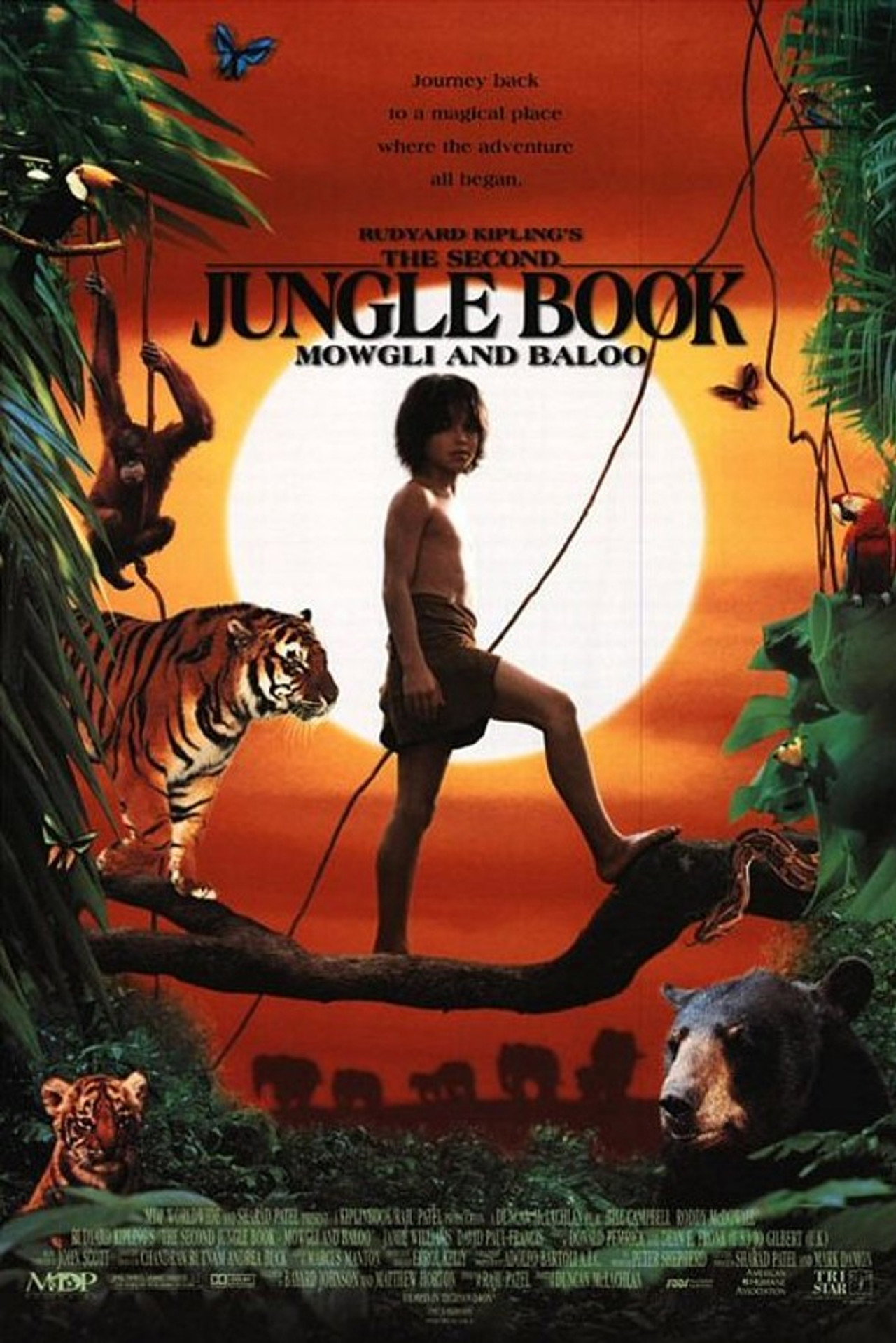 The Second Jungle Book: Mowgli & Baloo still 3