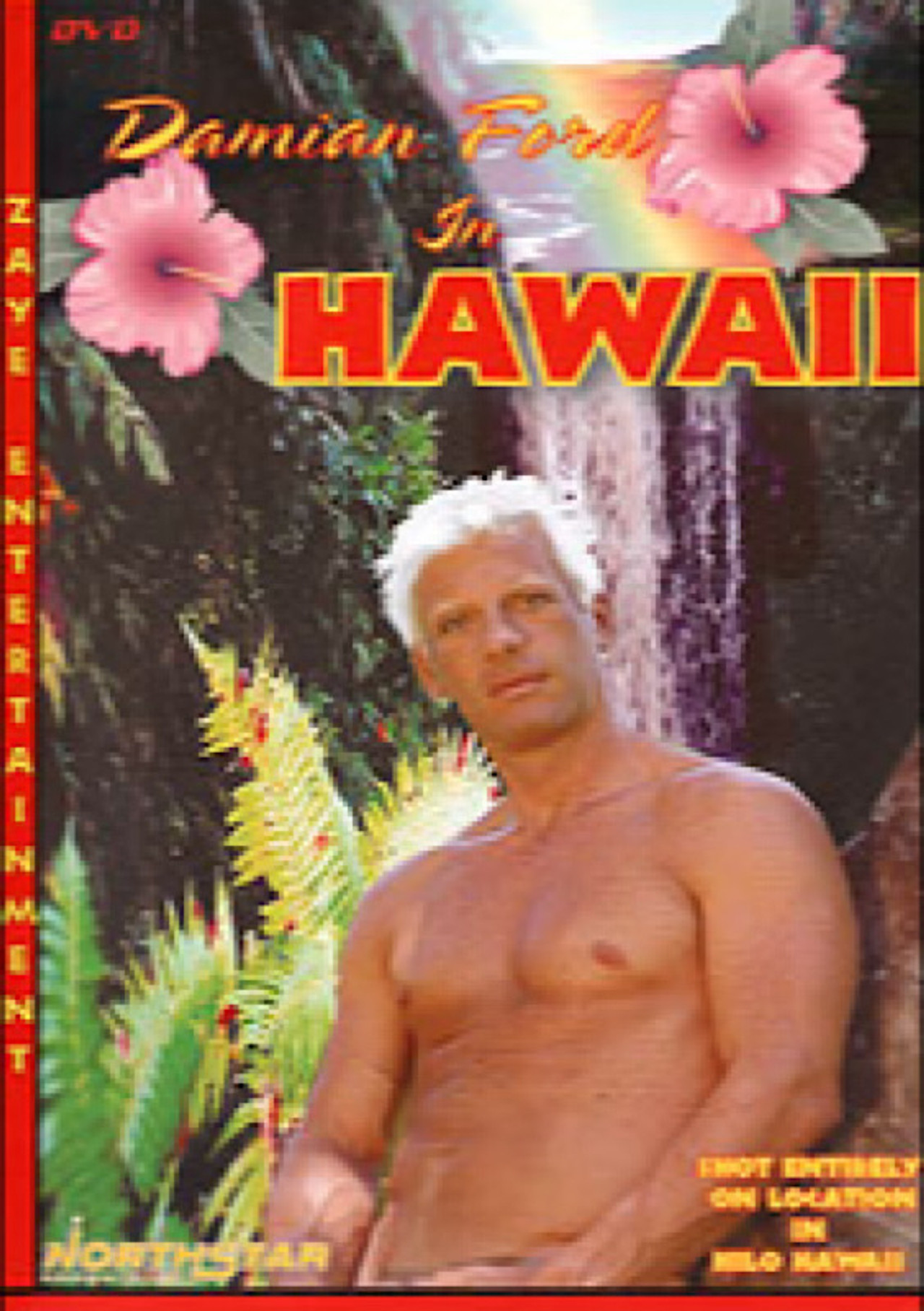 Damian Ford in Hawaii filmaffisch