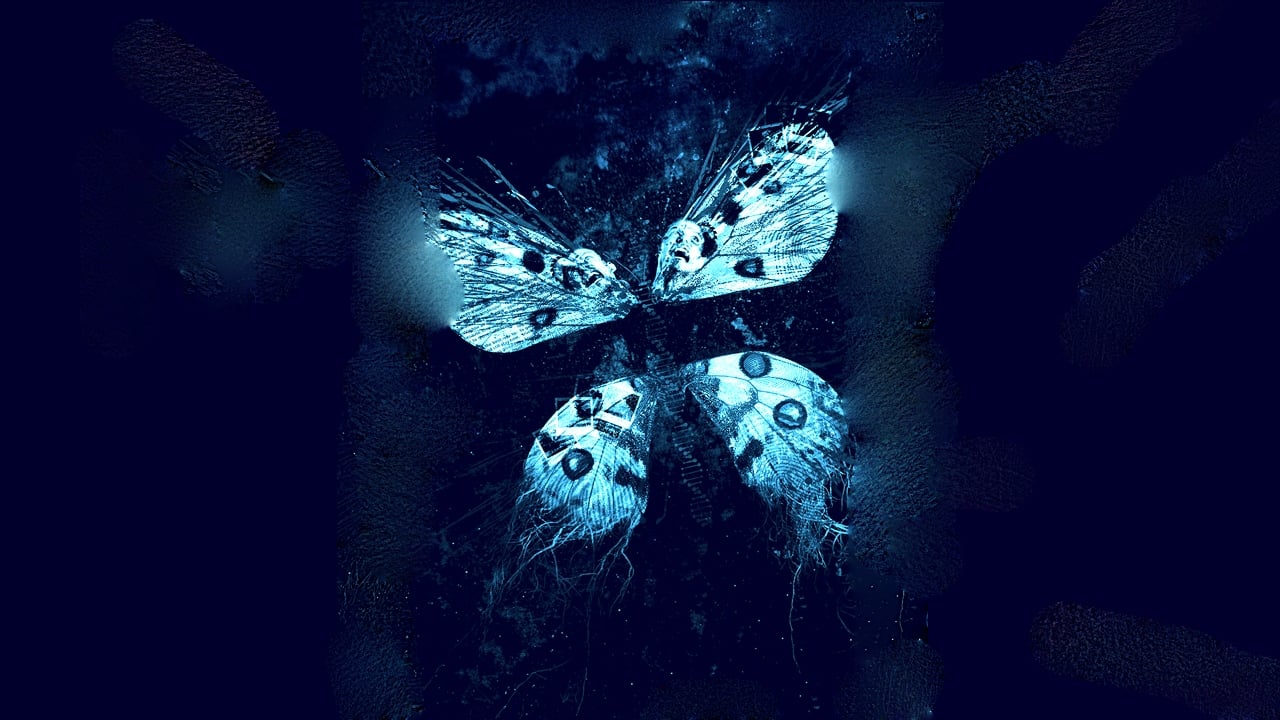 The Butterfly Effect 3: Revelations background