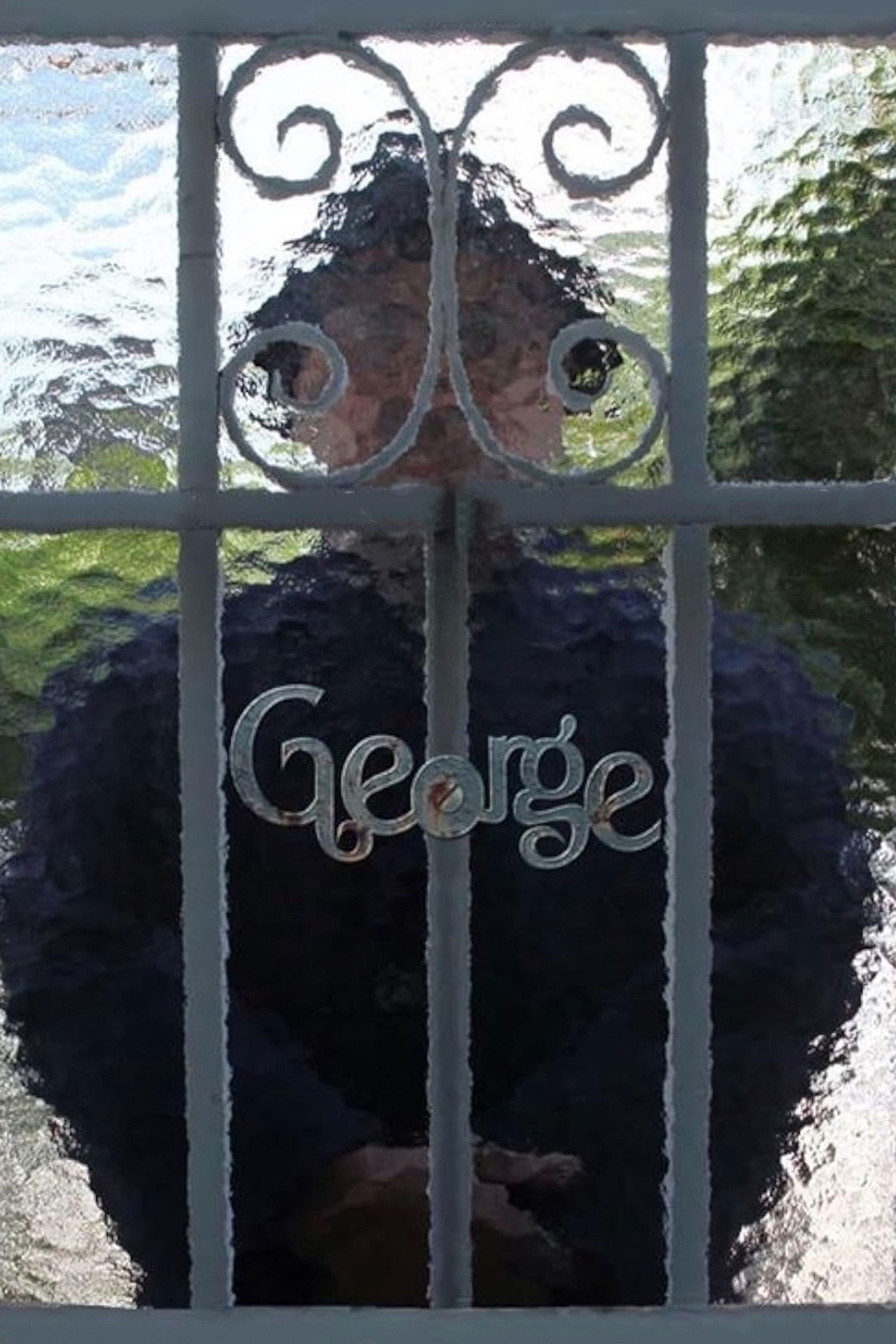 George Backdrop