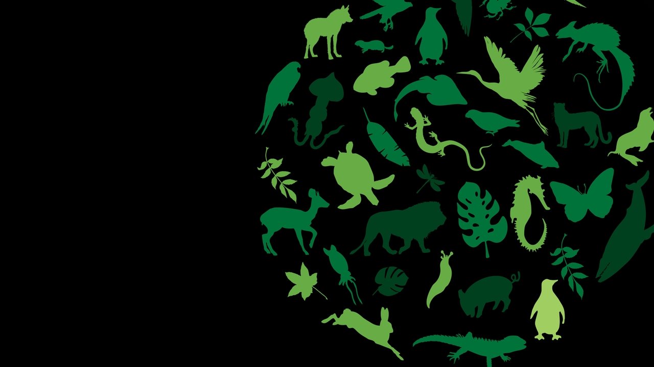 Born Wild: The Next Generation backdrop