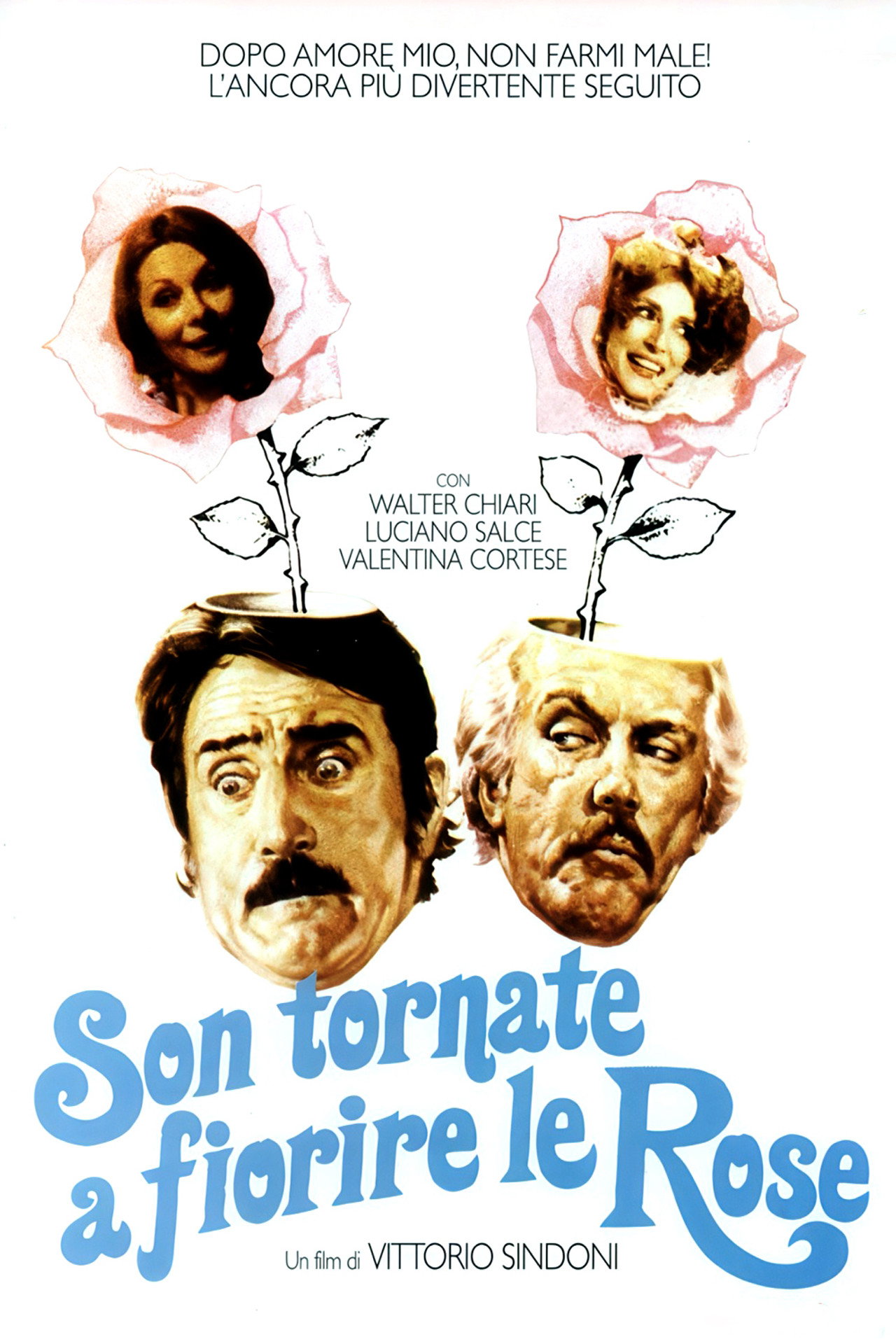 Son tornate a fiorire le rose