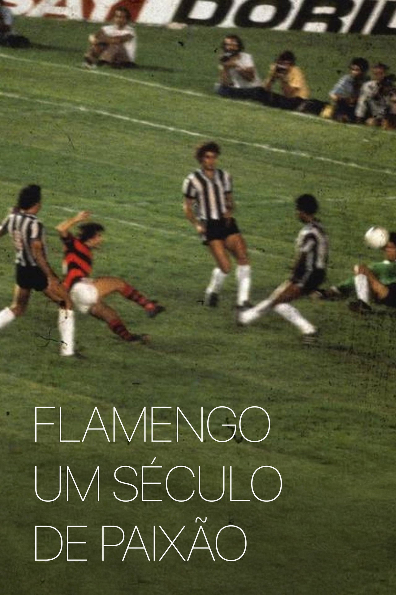 Flamengo: A Century of Passion