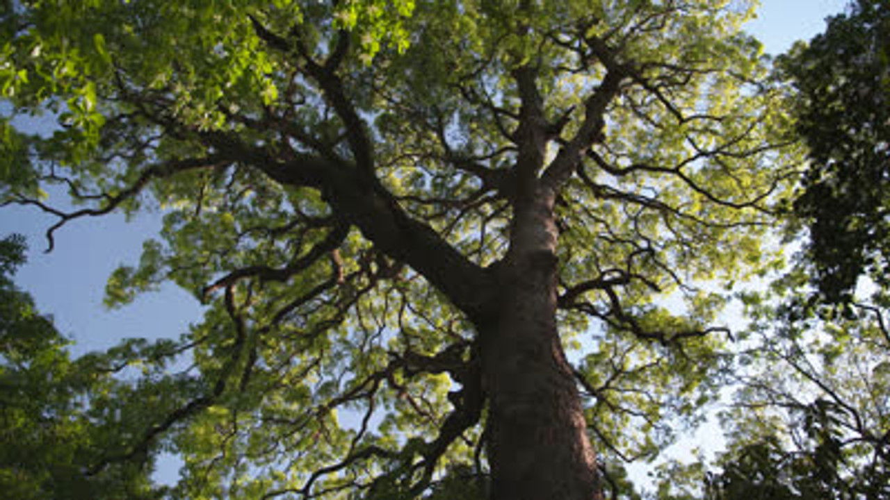 DESIGN TALKS plus — Épisode 11