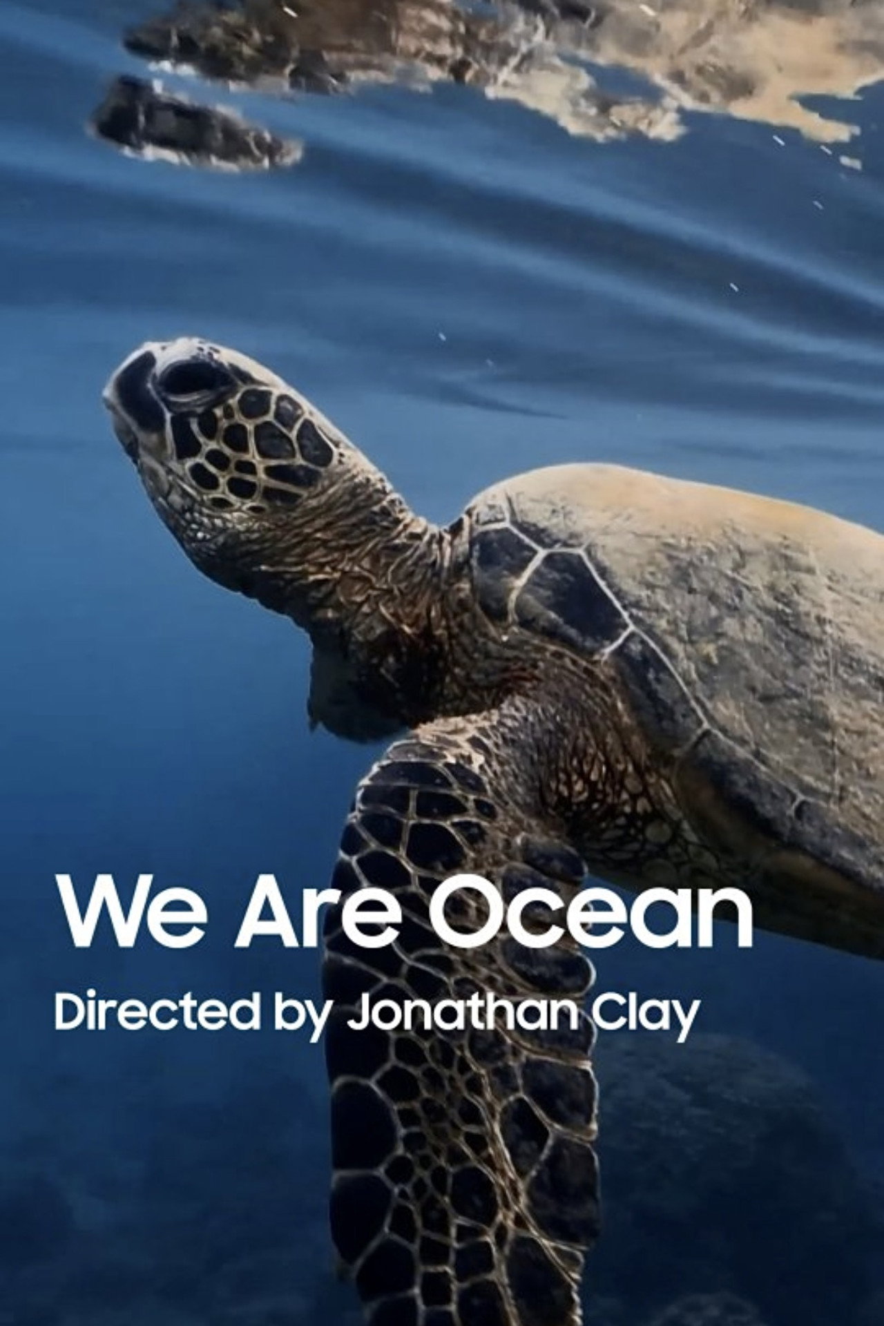 We Are Ocean filmaffisch