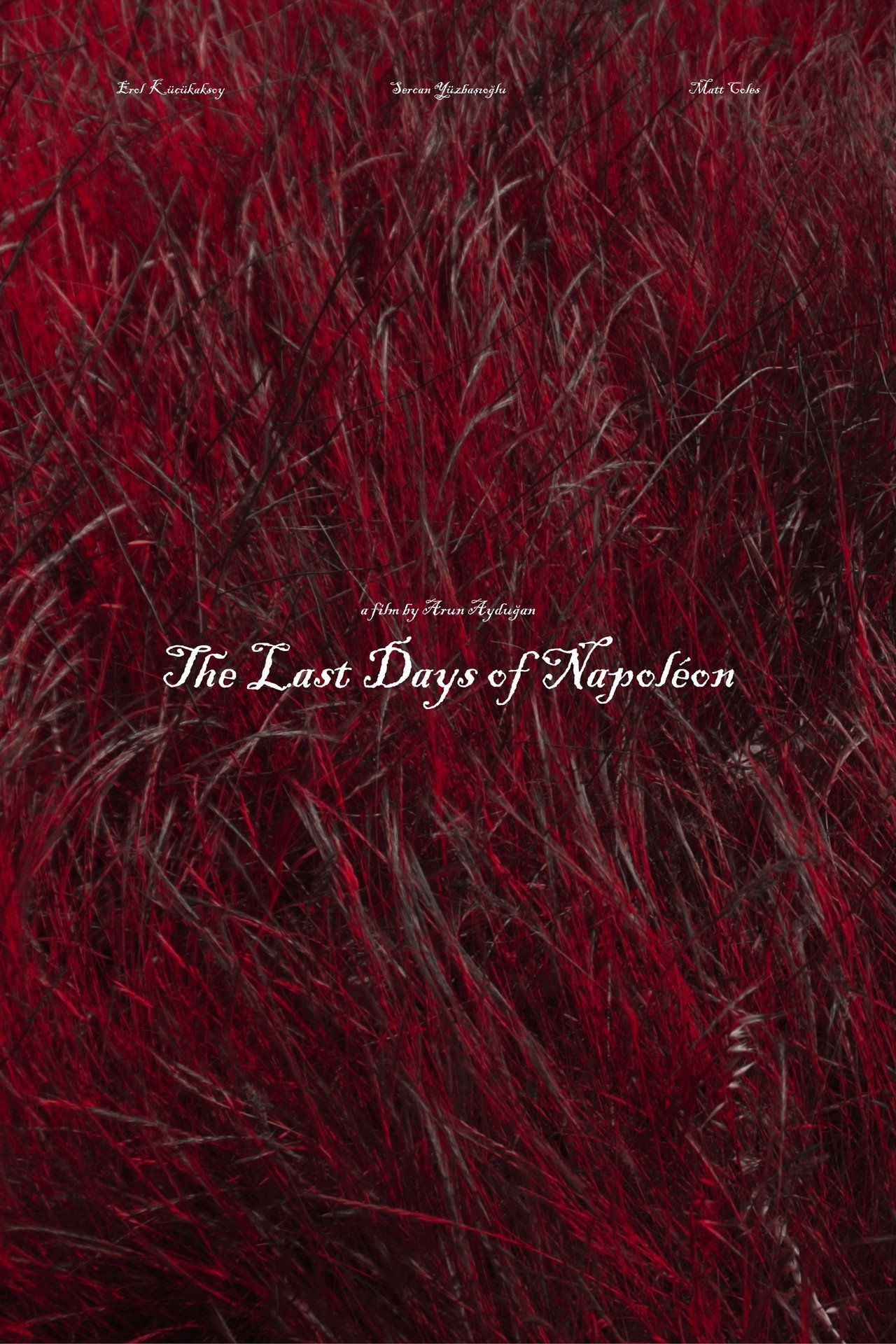 The Last Days of Napoléon poster