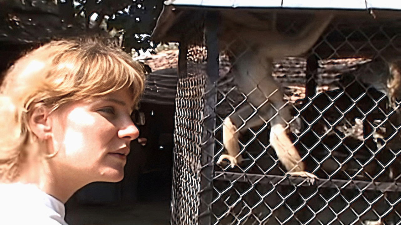 Monkey Business — Épisode 6