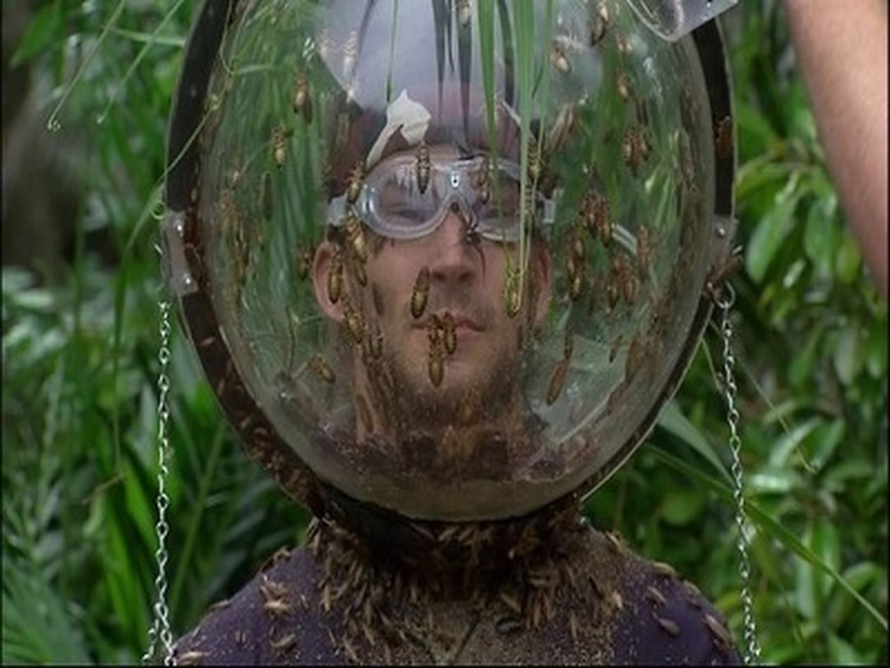 I'm a Celebrity...Get Me Out of Here! - Season 14 Episode 20 : Final: Fill Your Face / Bushtucker Bonanza / Drown and Out