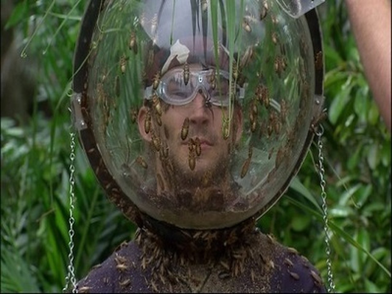 I'm a Celebrity...Get Me Out of Here! - Season 14 Episode 20 : Final: Fill Your Face / Bushtucker Bonanza / Drown and Out