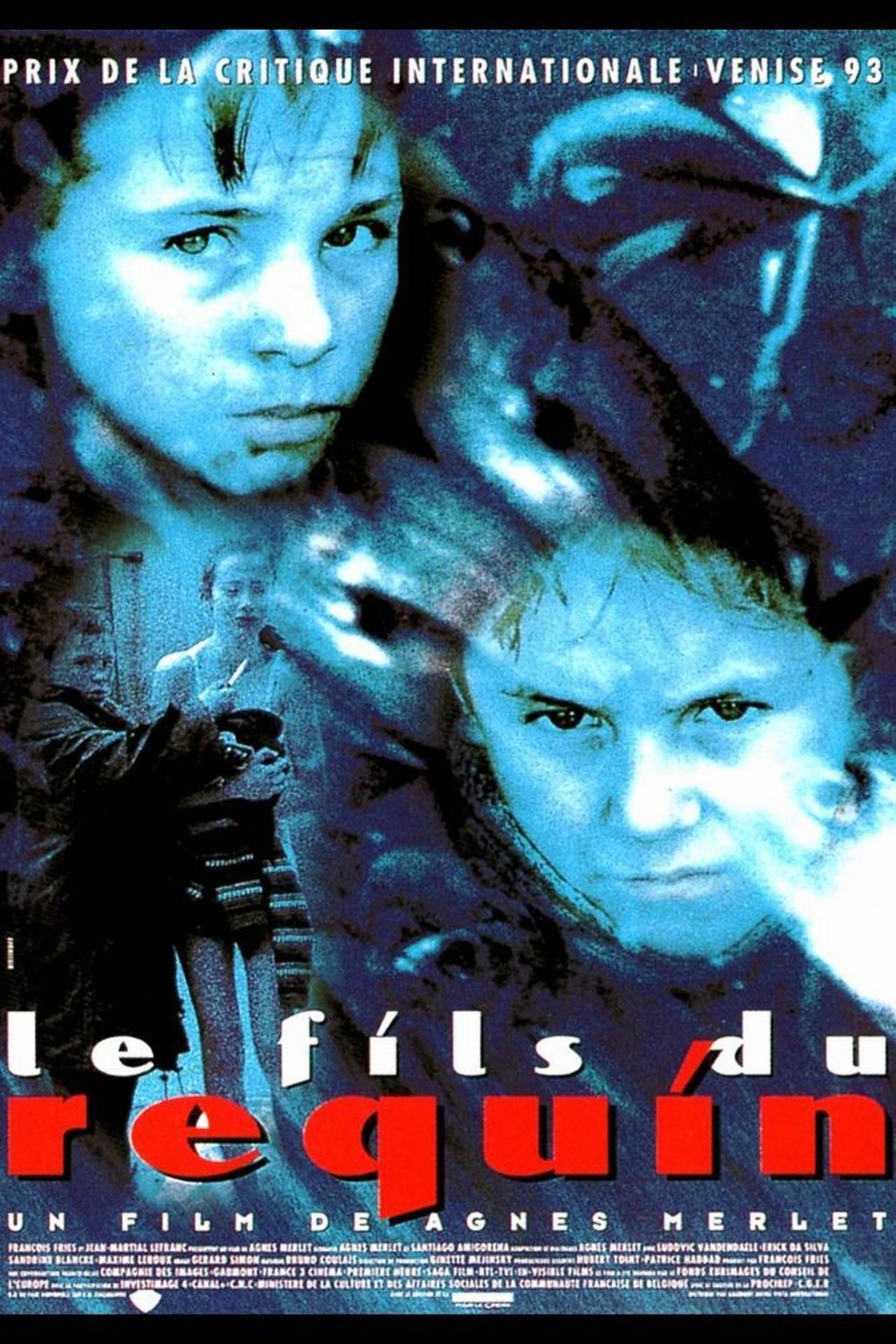 Le Fils du requin poster