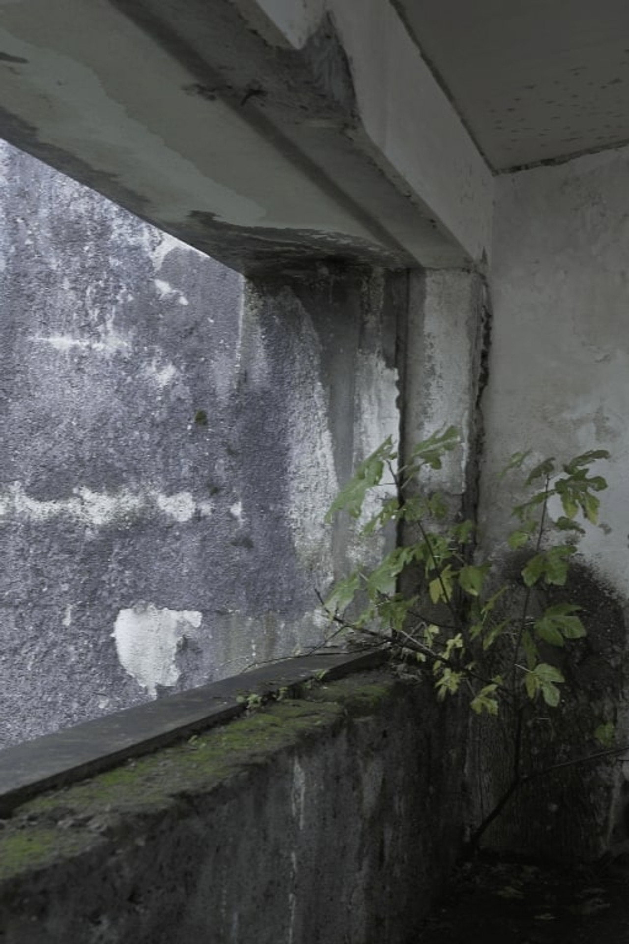 Hollow filmaffisch