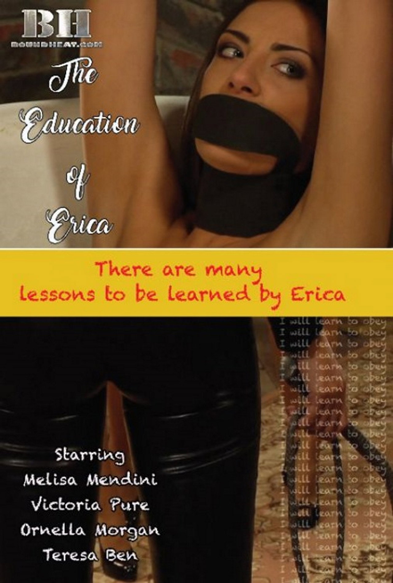 The Education Of Erica filmaffisch