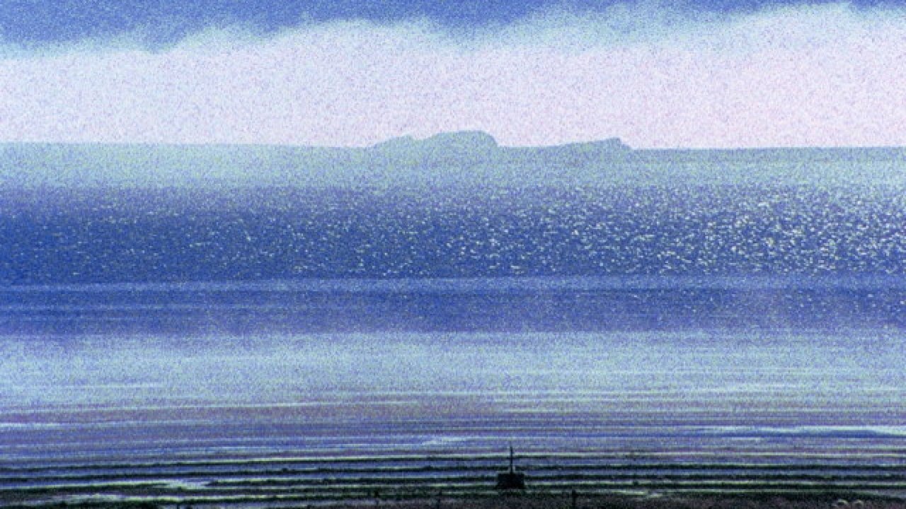 title image