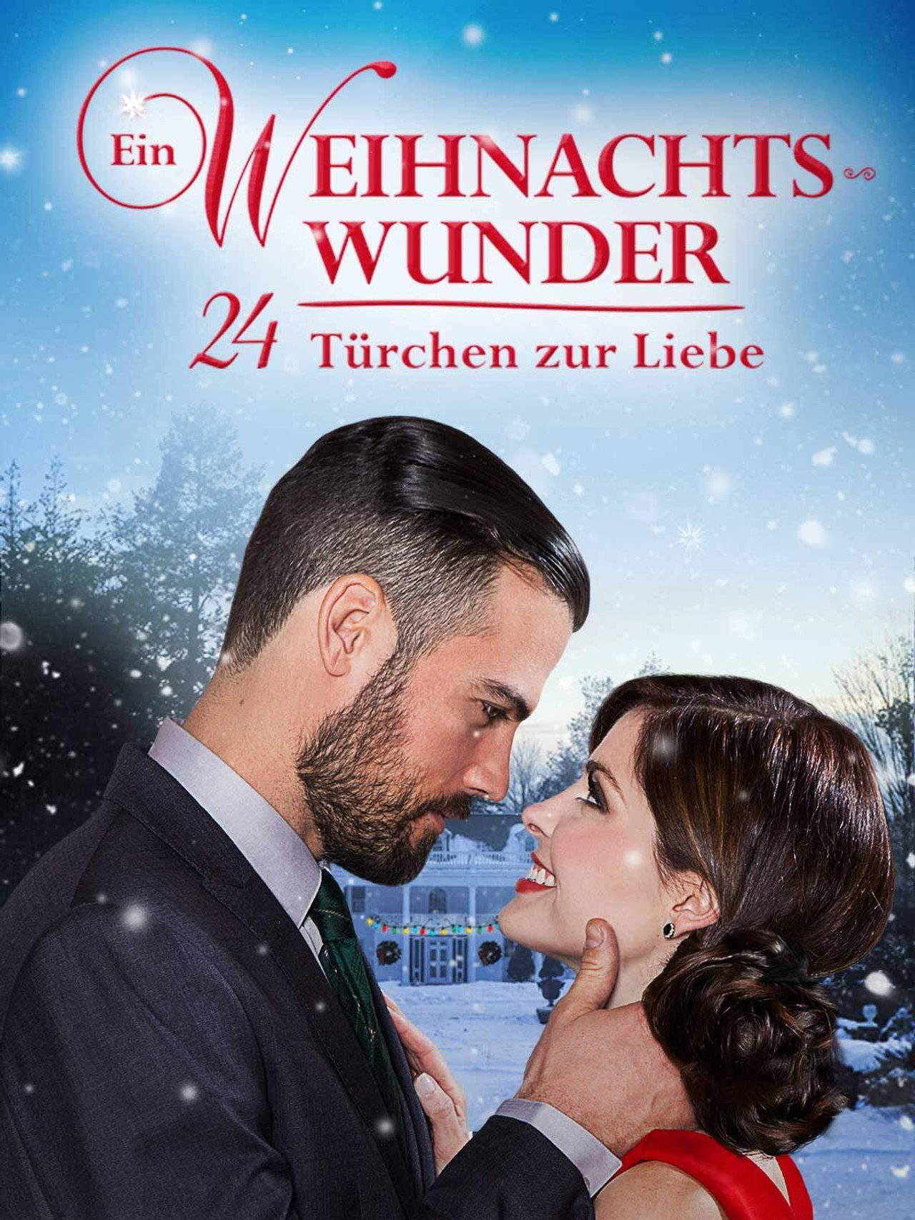 Ein Weihnachtswunder - 24 Türchen zur Liebe