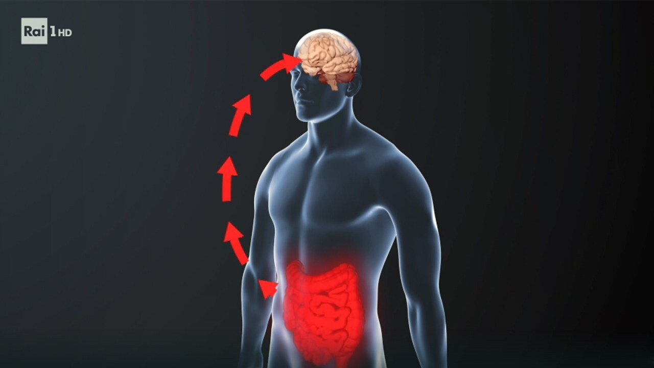 Xylella, the brain-gut link, and private astronauts