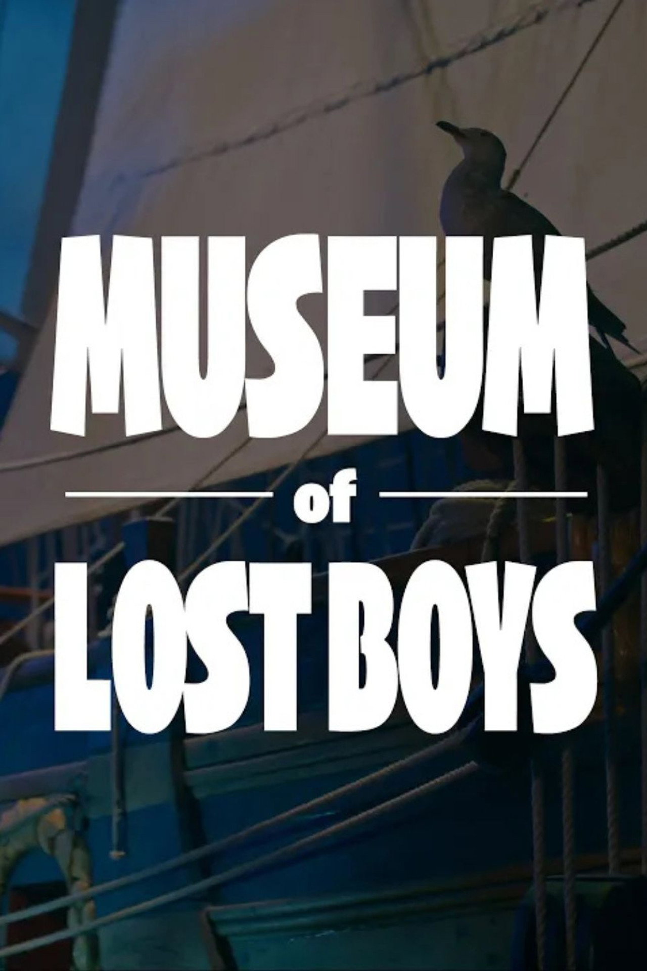 Museum of Lost Boys filmaffisch