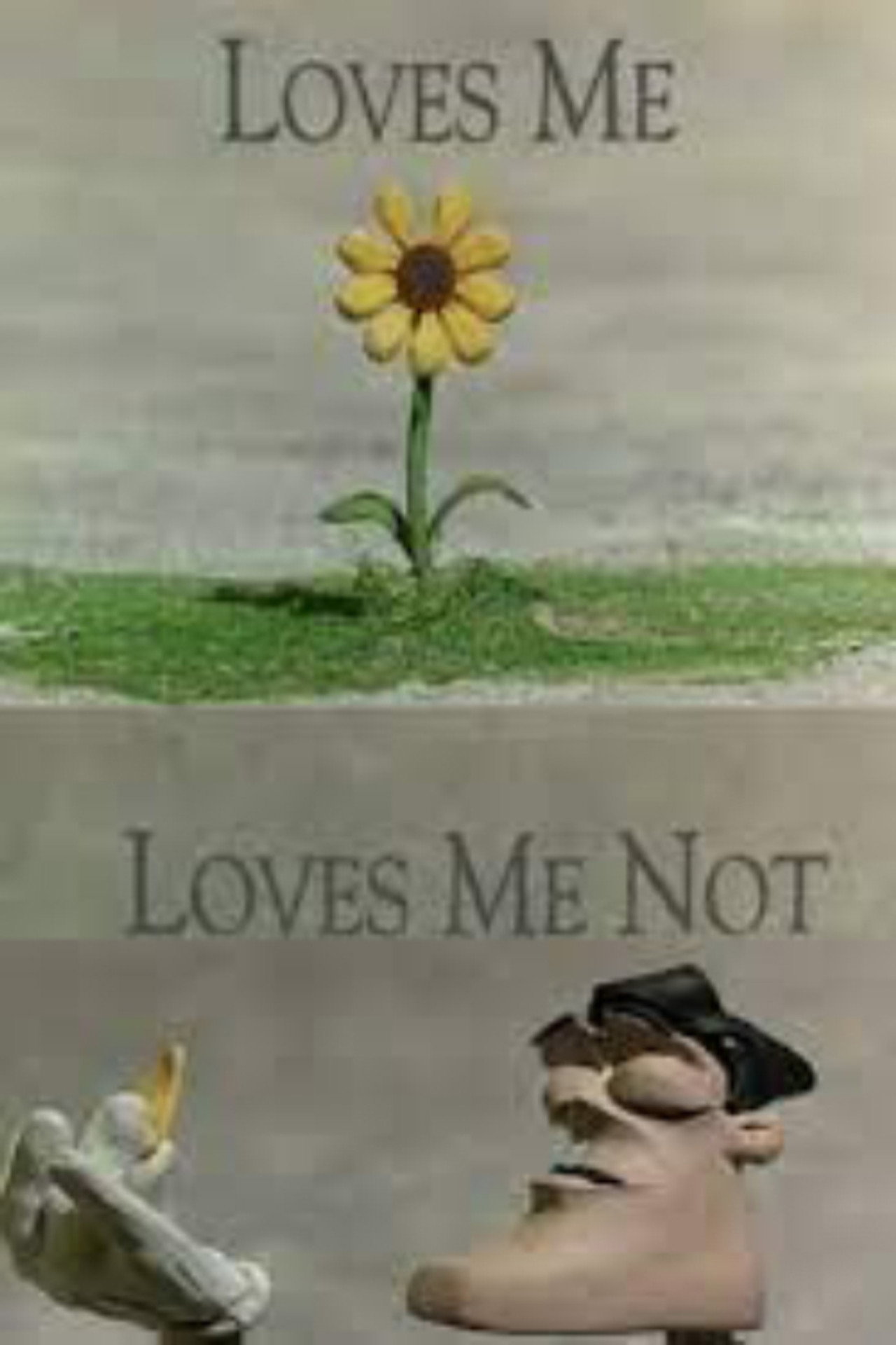 Loves Me, Loves Me Not filmaffisch
