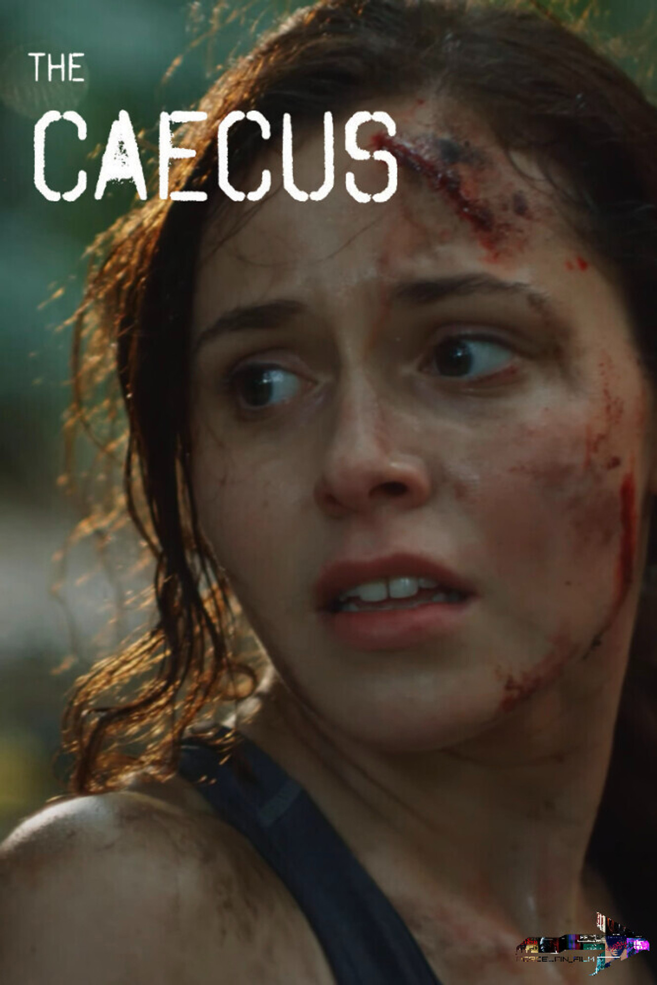 The Caecus