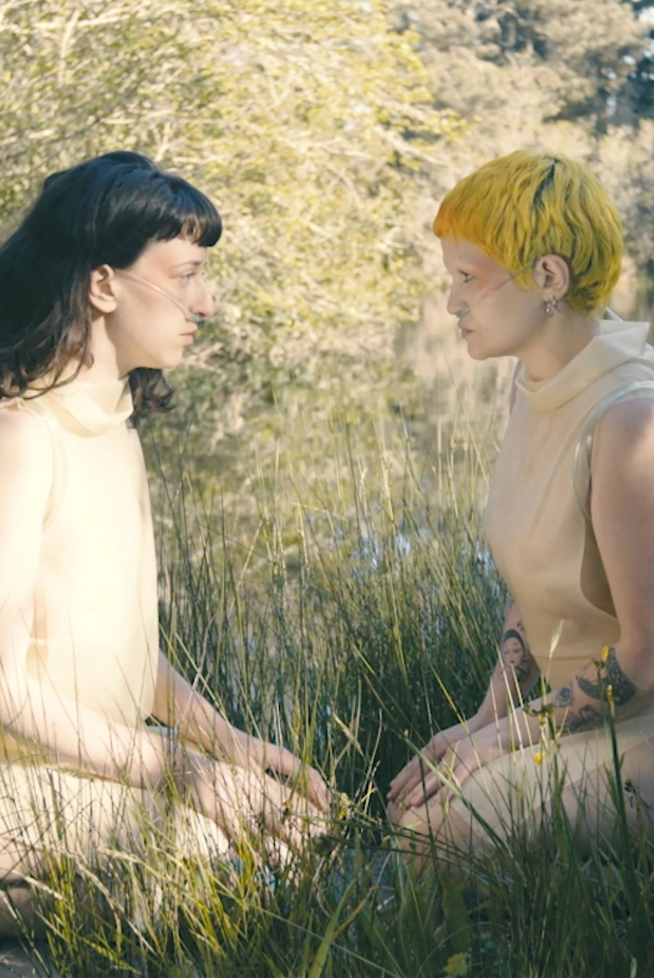 CYANOVISIONS Backdrop