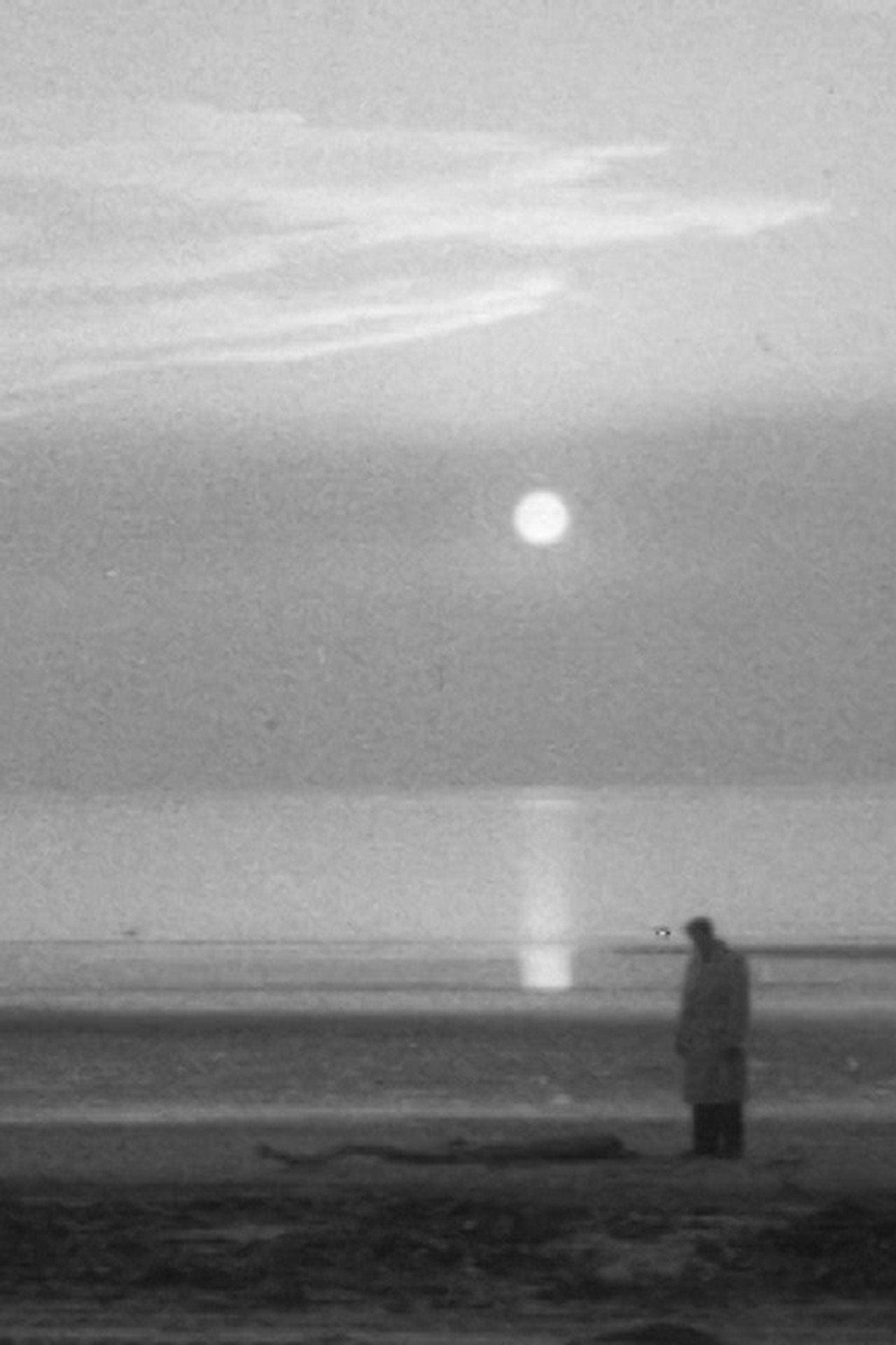 Falls the Shadow filmaffisch