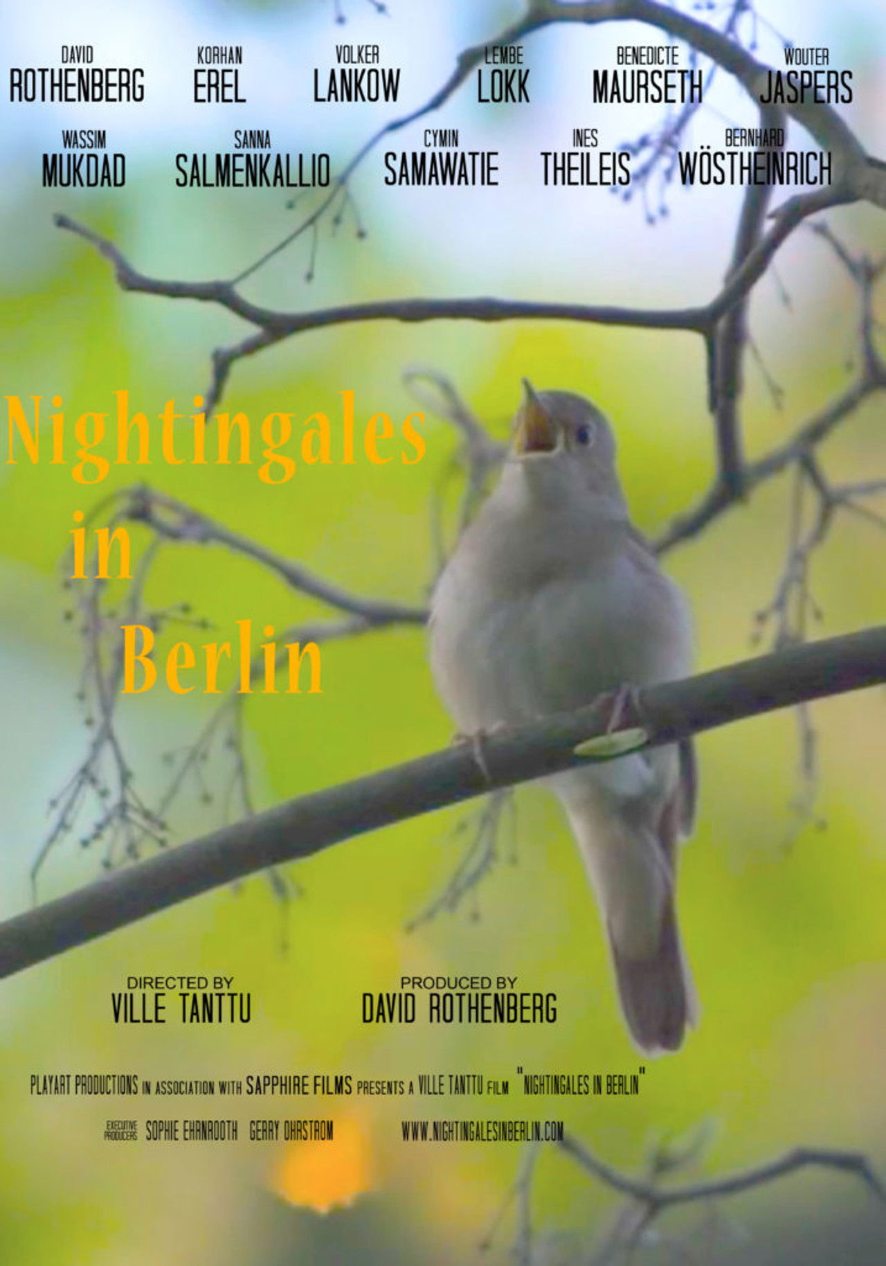 Nightingales in Berlin Backdrop