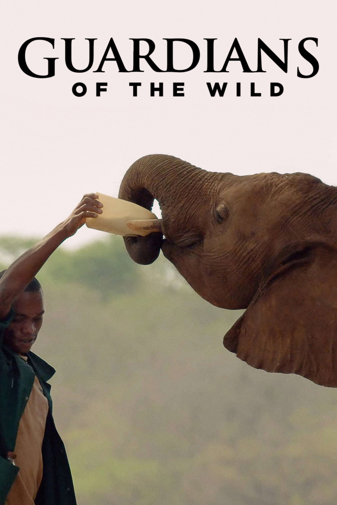Guardians of the Wild (2016)