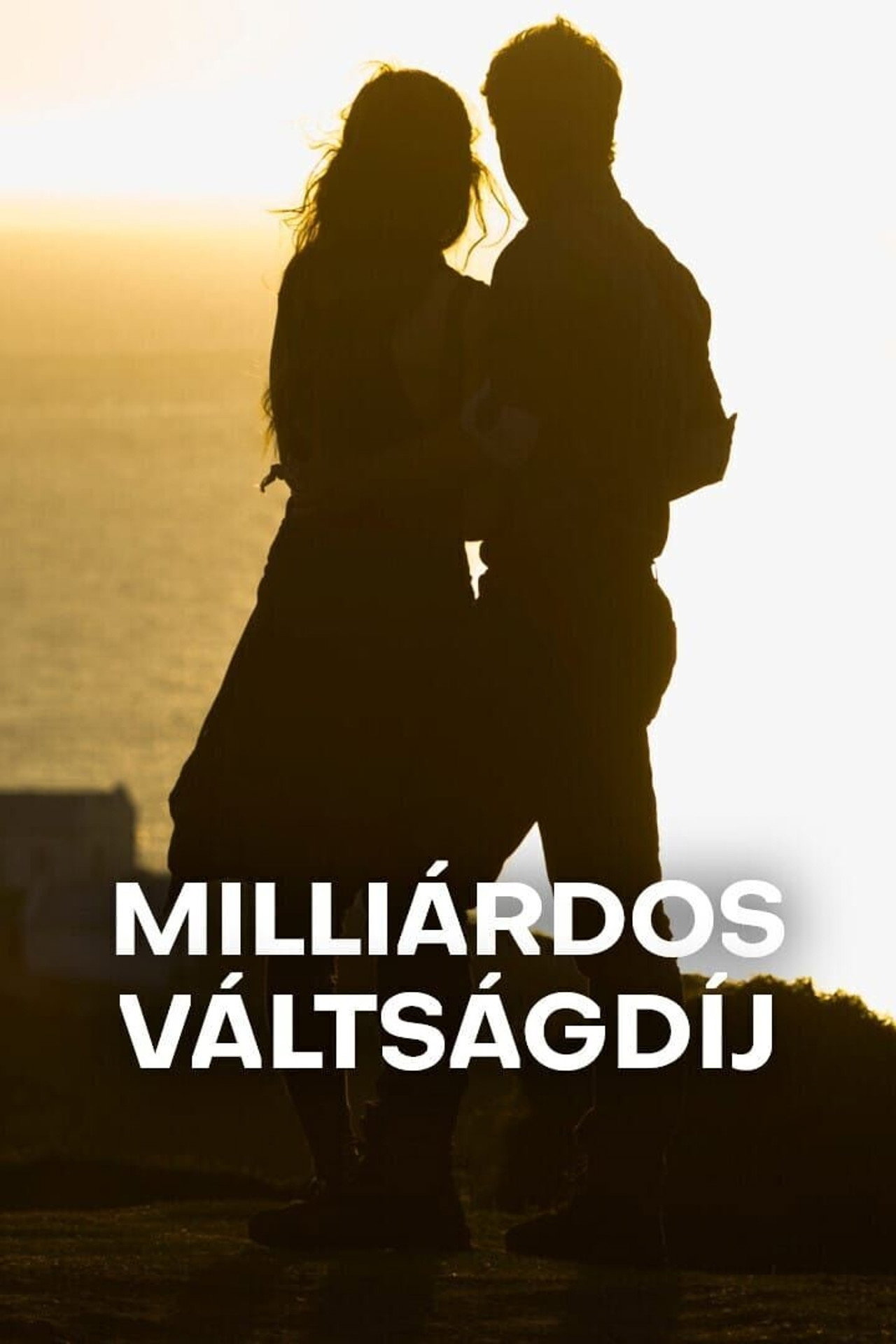 posters 21