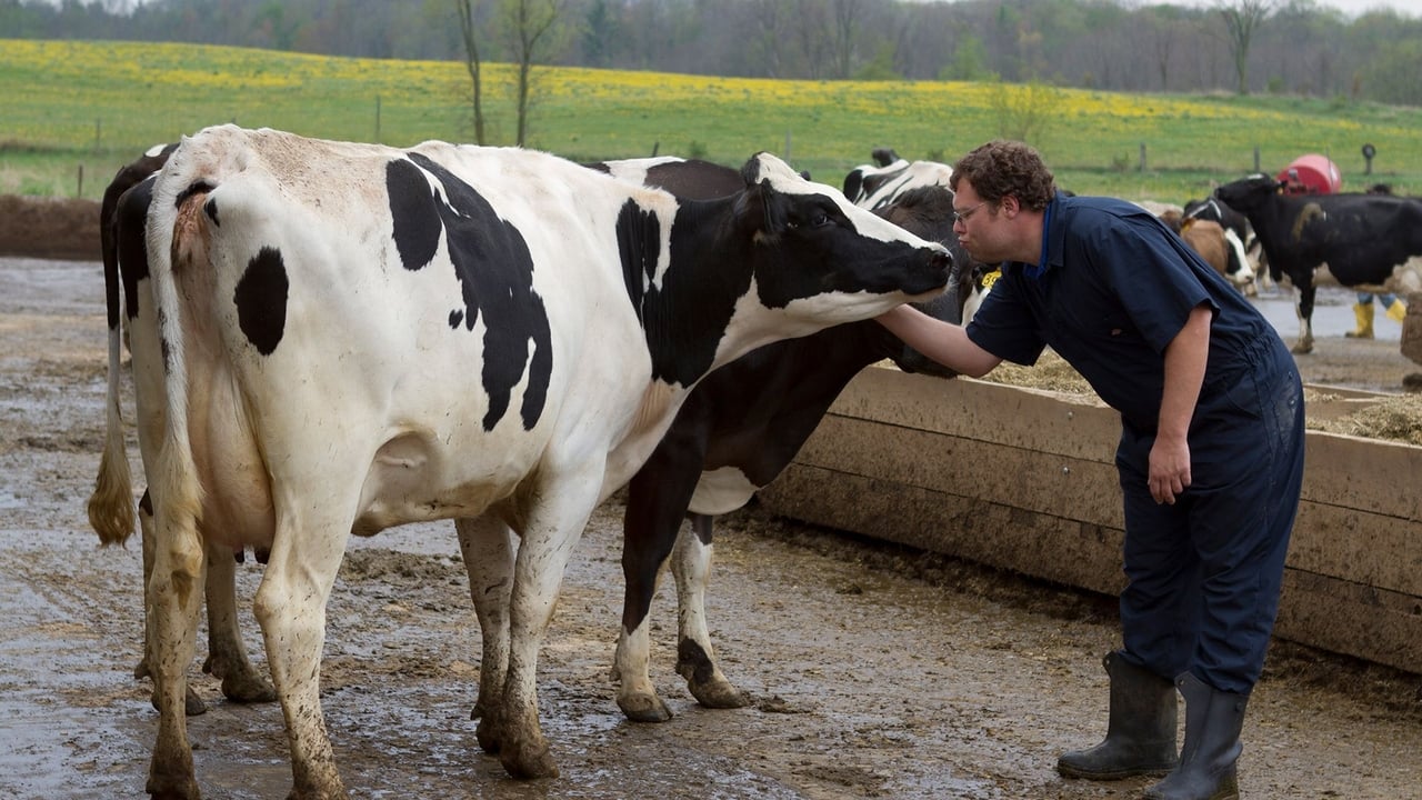 The Incredible Dr. Pol - Season 2 Episode 2 : Udder Madness