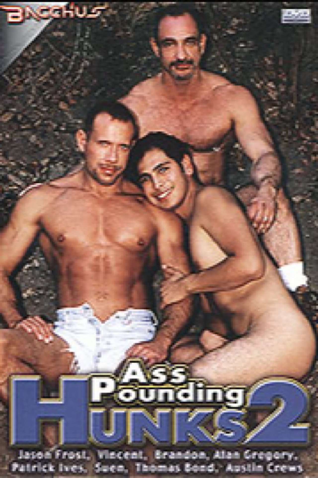 Ass Pounding Hunks 2 filmaffisch