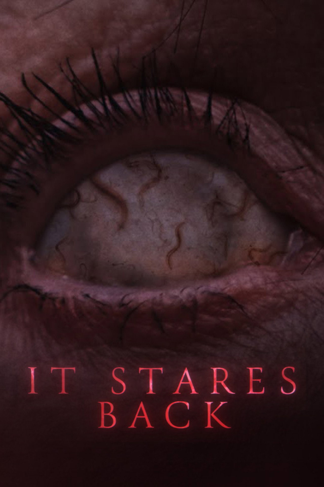 It Stares Back filmaffisch