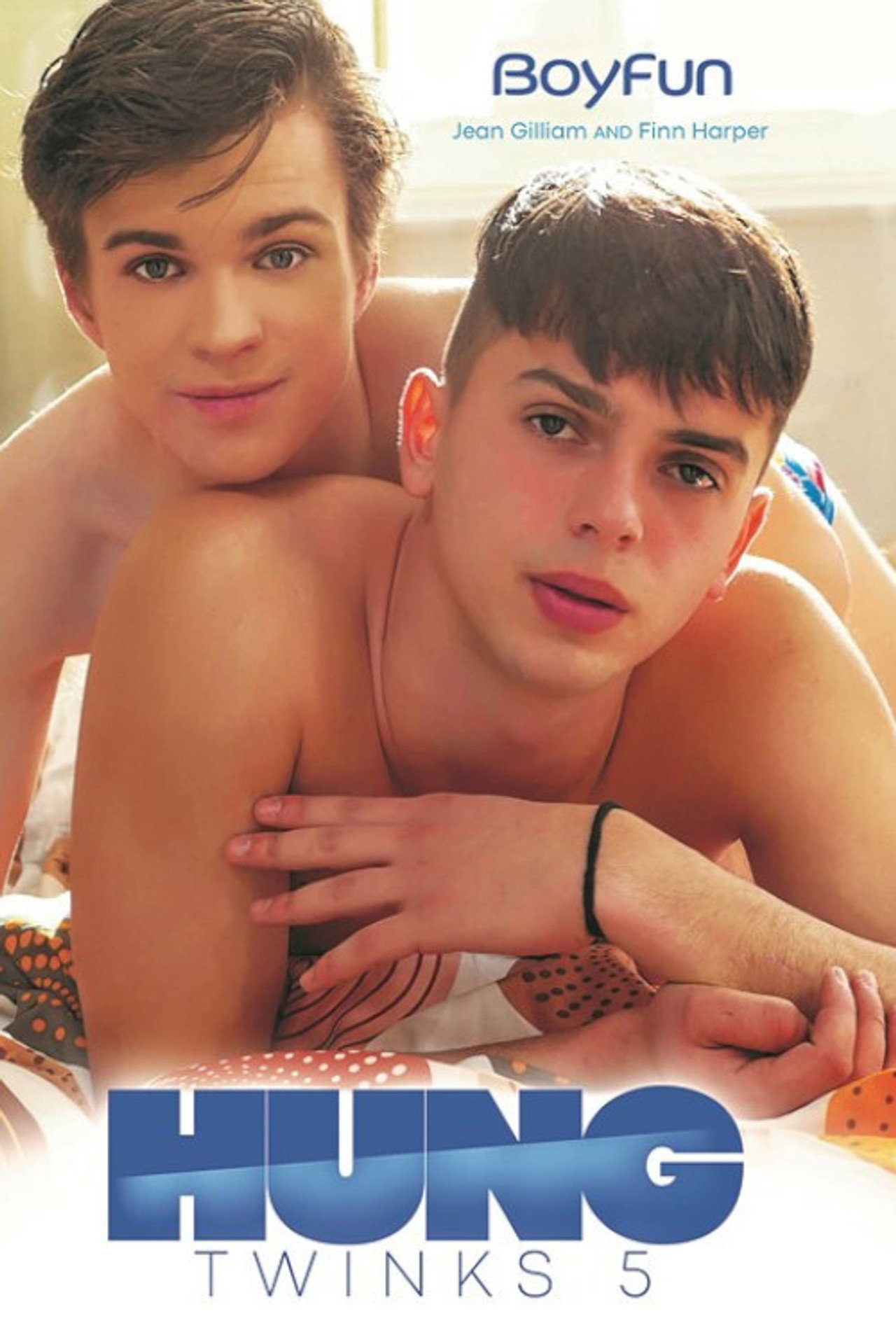 Hung Twinks 5 filmaffisch